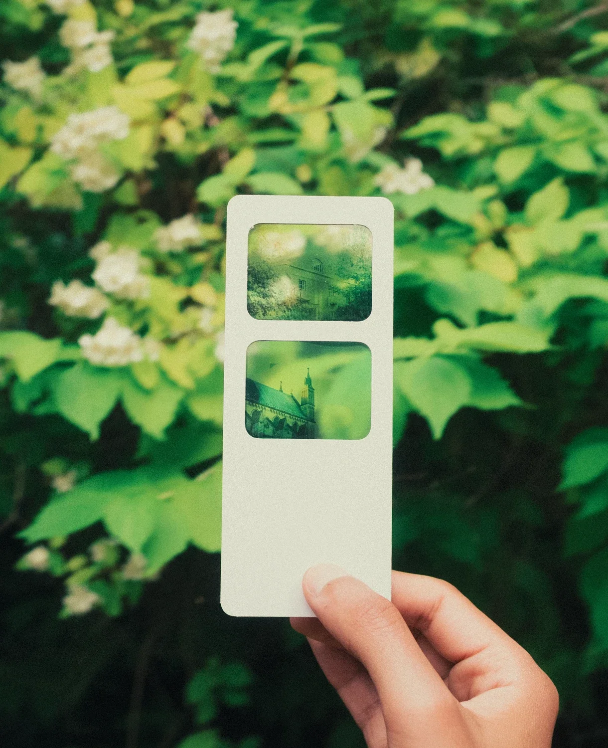 'slide film' photo bookmark (adilt)