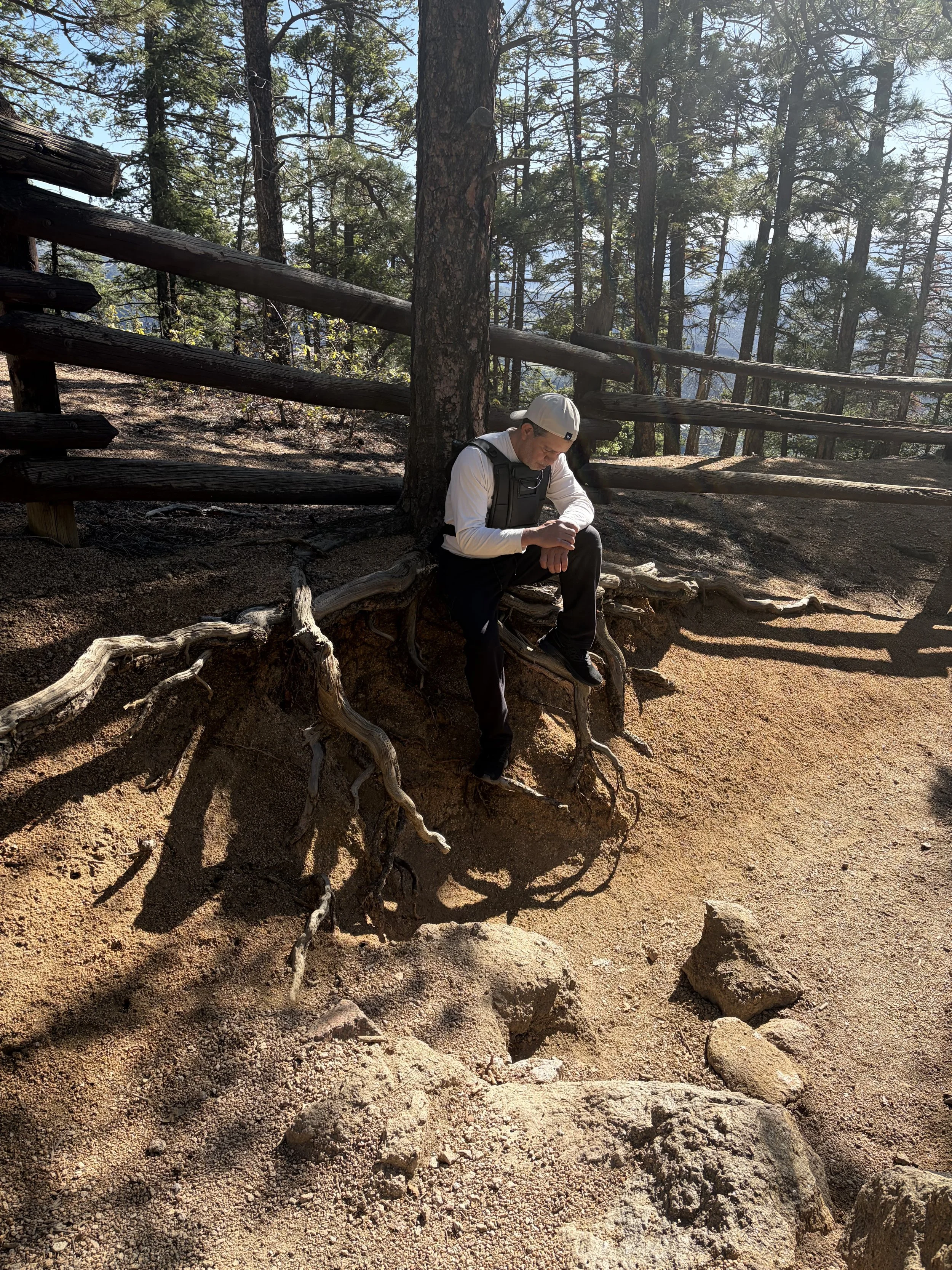 A man sitting under a tree on a rocky trail in a forest with tall trees and a wooden fence, looking at a device in his hands.