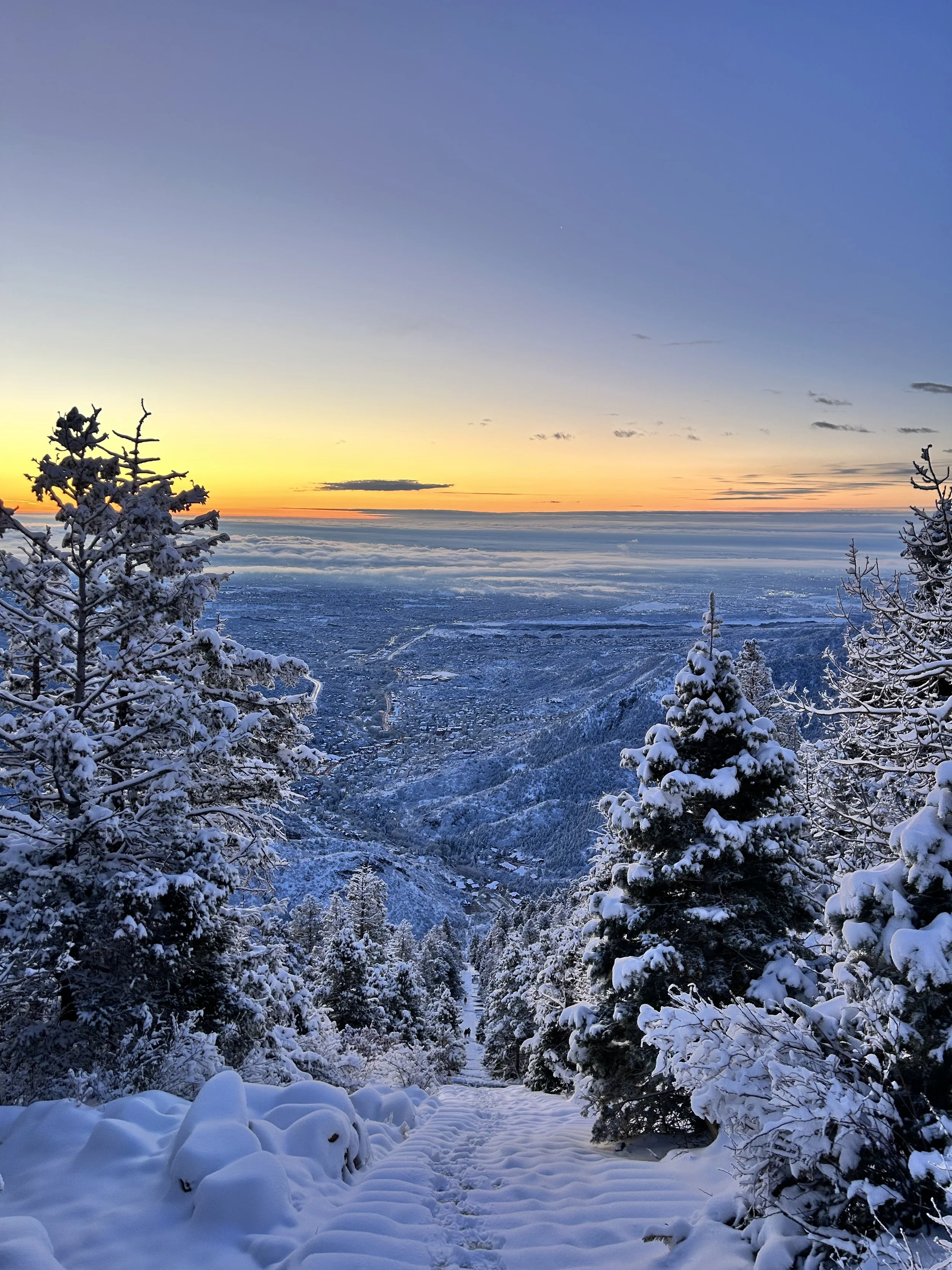 Snow-covered trees on a mountain with a sunset sky and clouds in the distance.