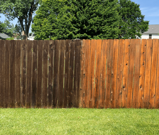 Fence Cleaning