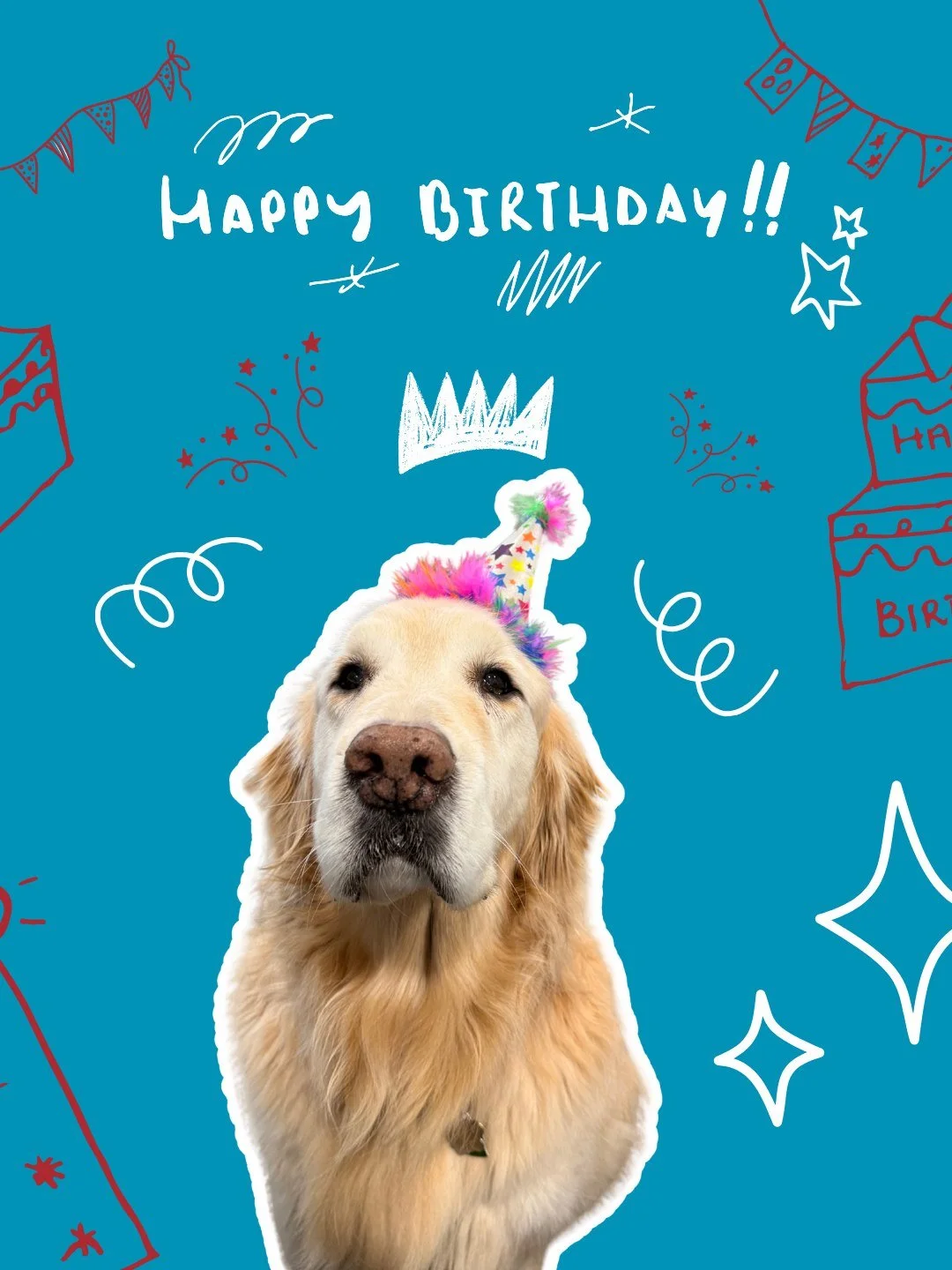 Happy birthday to the employee of the month: Levi! Hard to believe he's been here for ten years and still hasn't unlocked retirement benefits. We ❤️ you Levi.