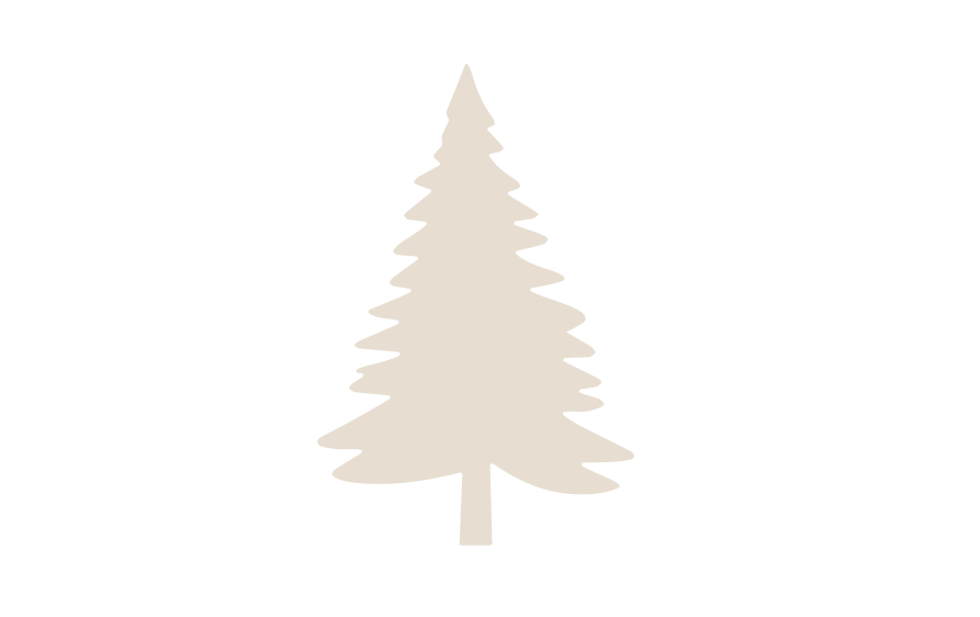 Silhouette of a tall pine tree with layered branches