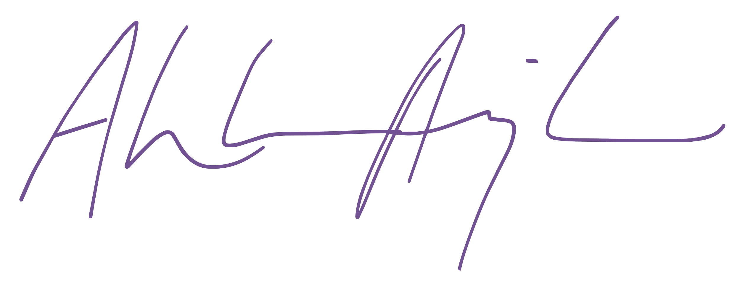 Stylized signature