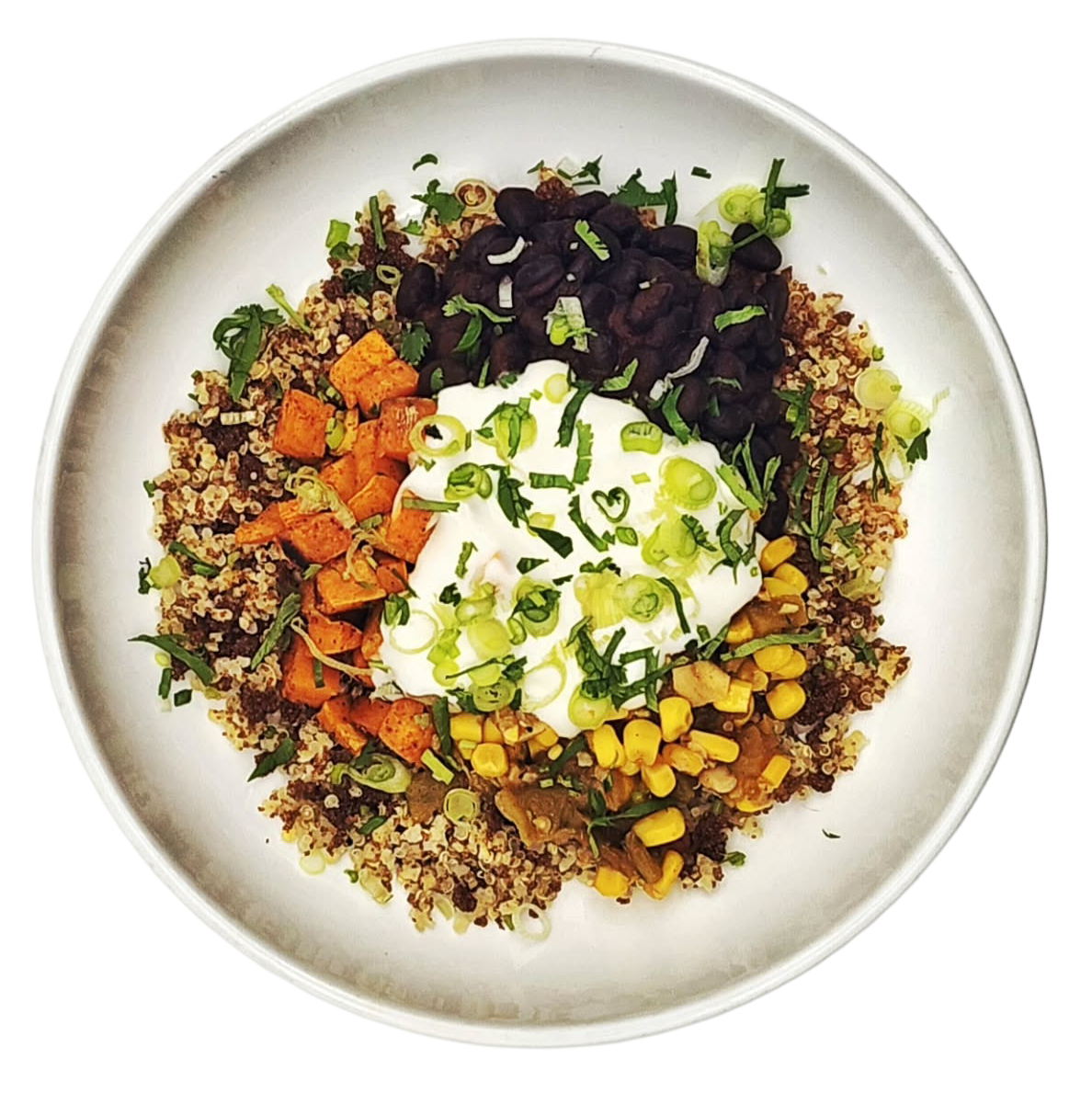 Quinoa bowl topped with black beans, roasted sweet potatoes, corn, sour cream, chopped green onions, and chopped cilantro.