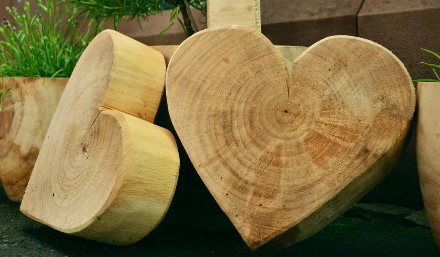 Wooden heart-shaped and cylindrical pieces of wood on a dark surface, with potted plants in the background.