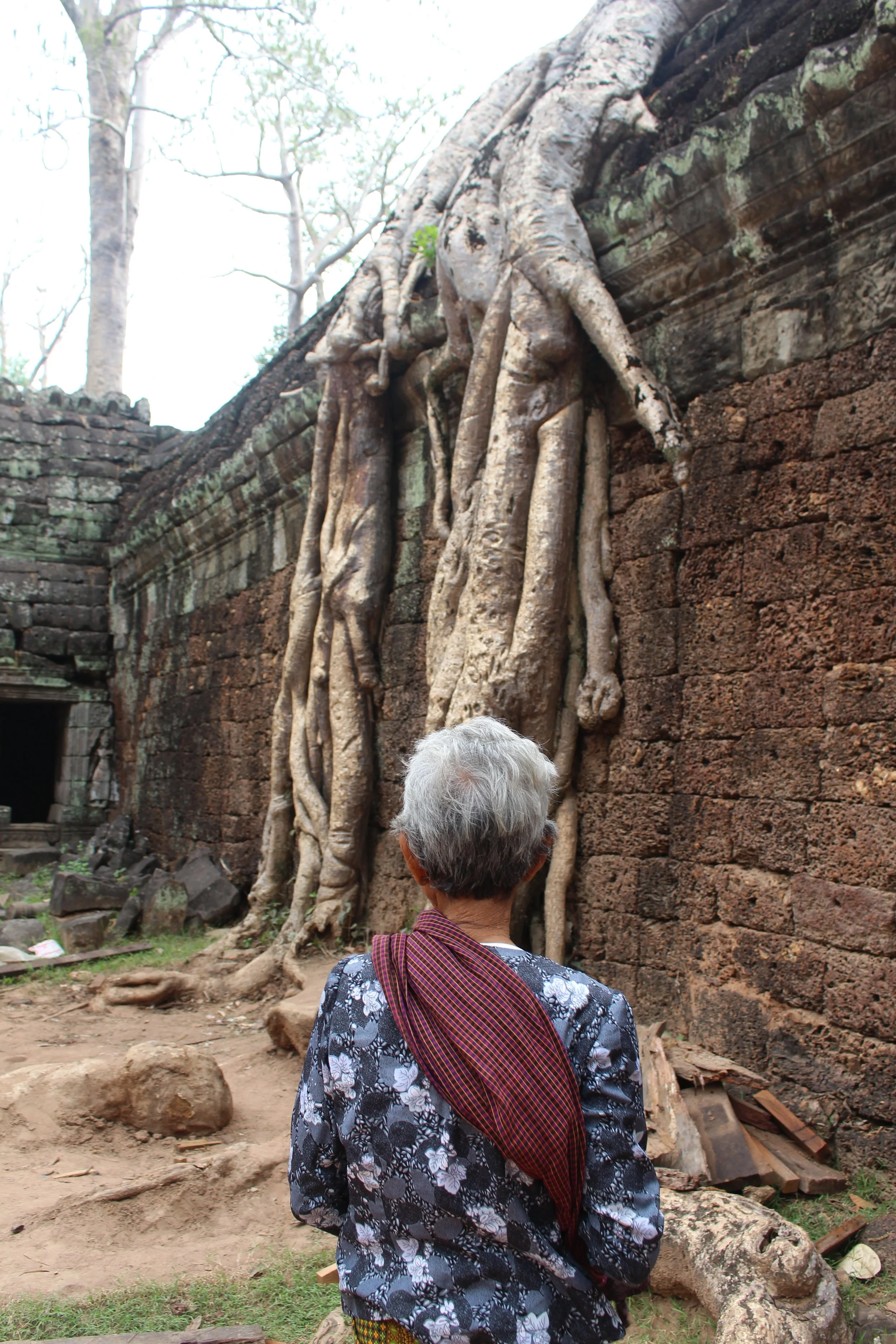 Cambodia (2017)