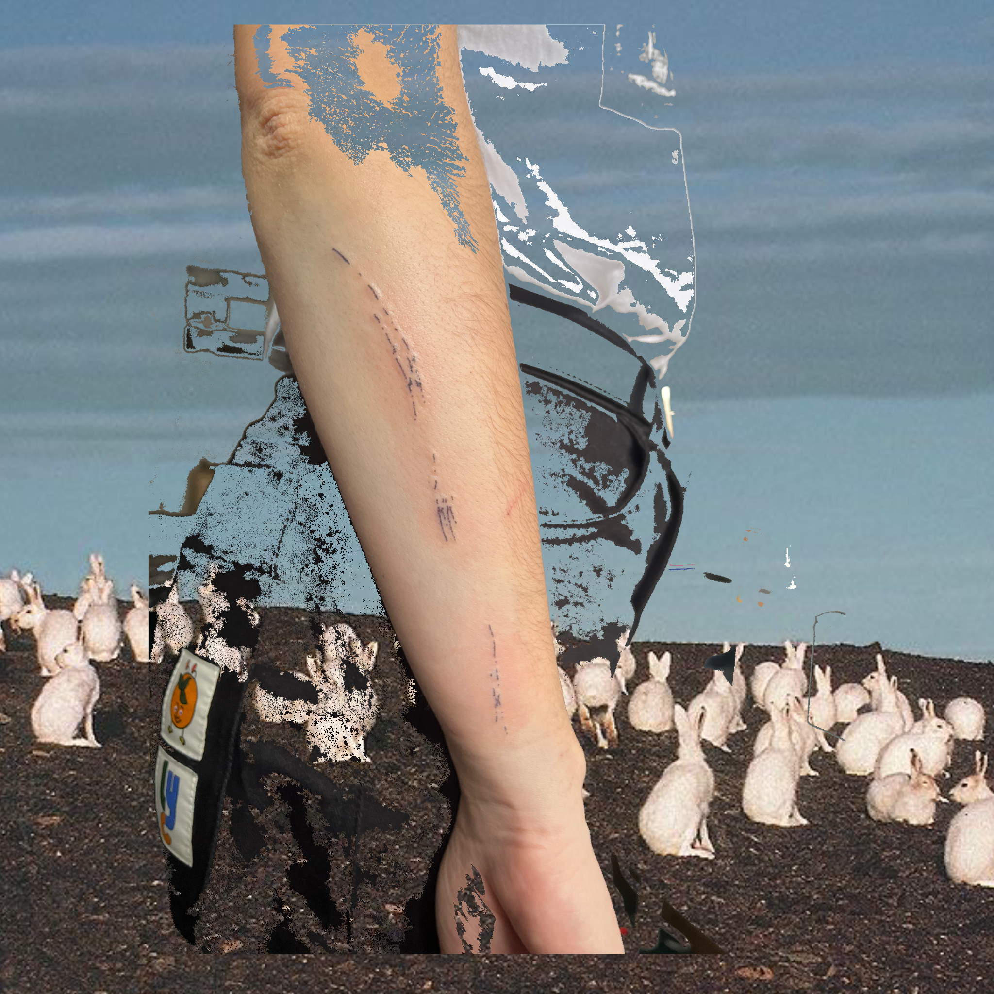 Untitled_Artwork 5(1).png