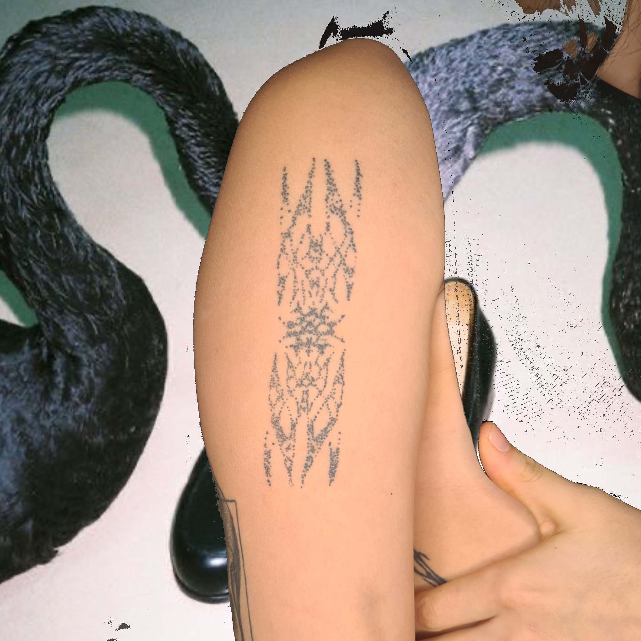 Untitled_Artwork 12(1).png