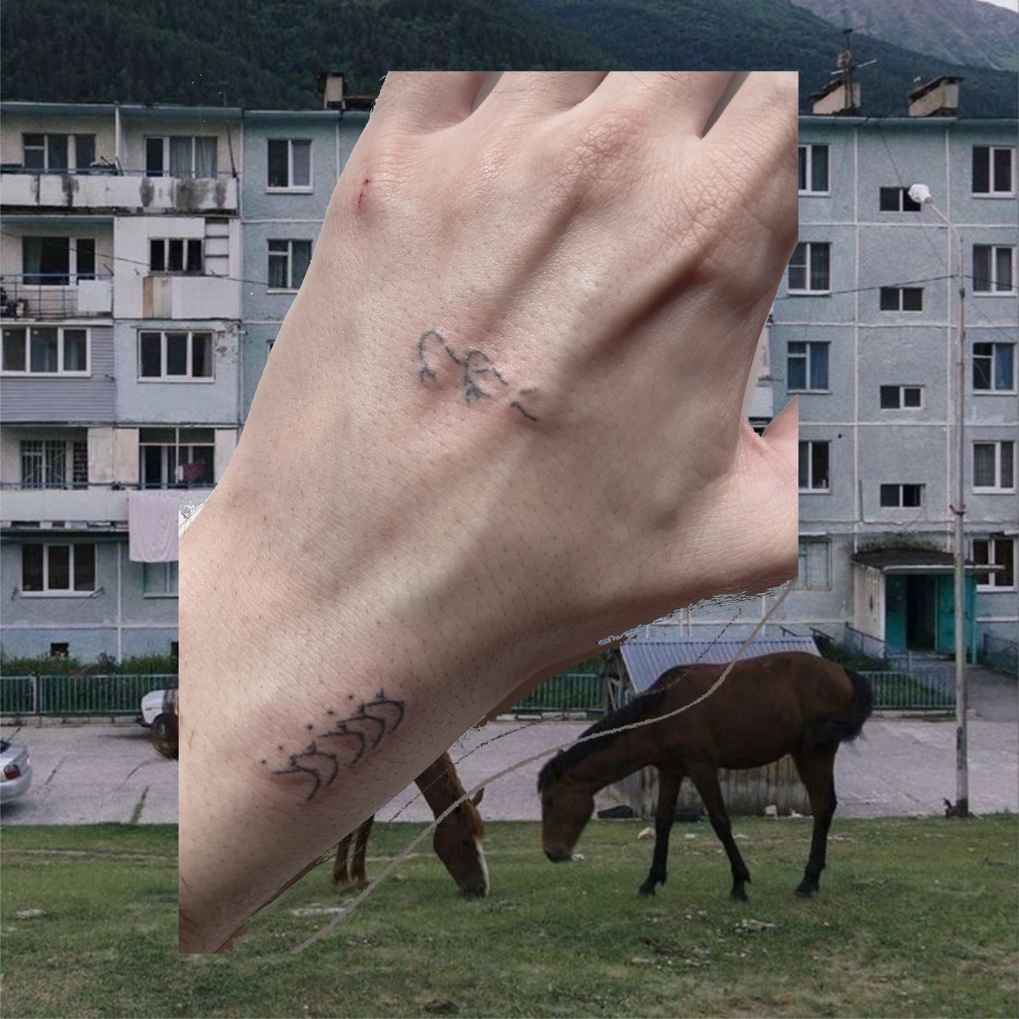 Untitled_Artwork 8(1).png