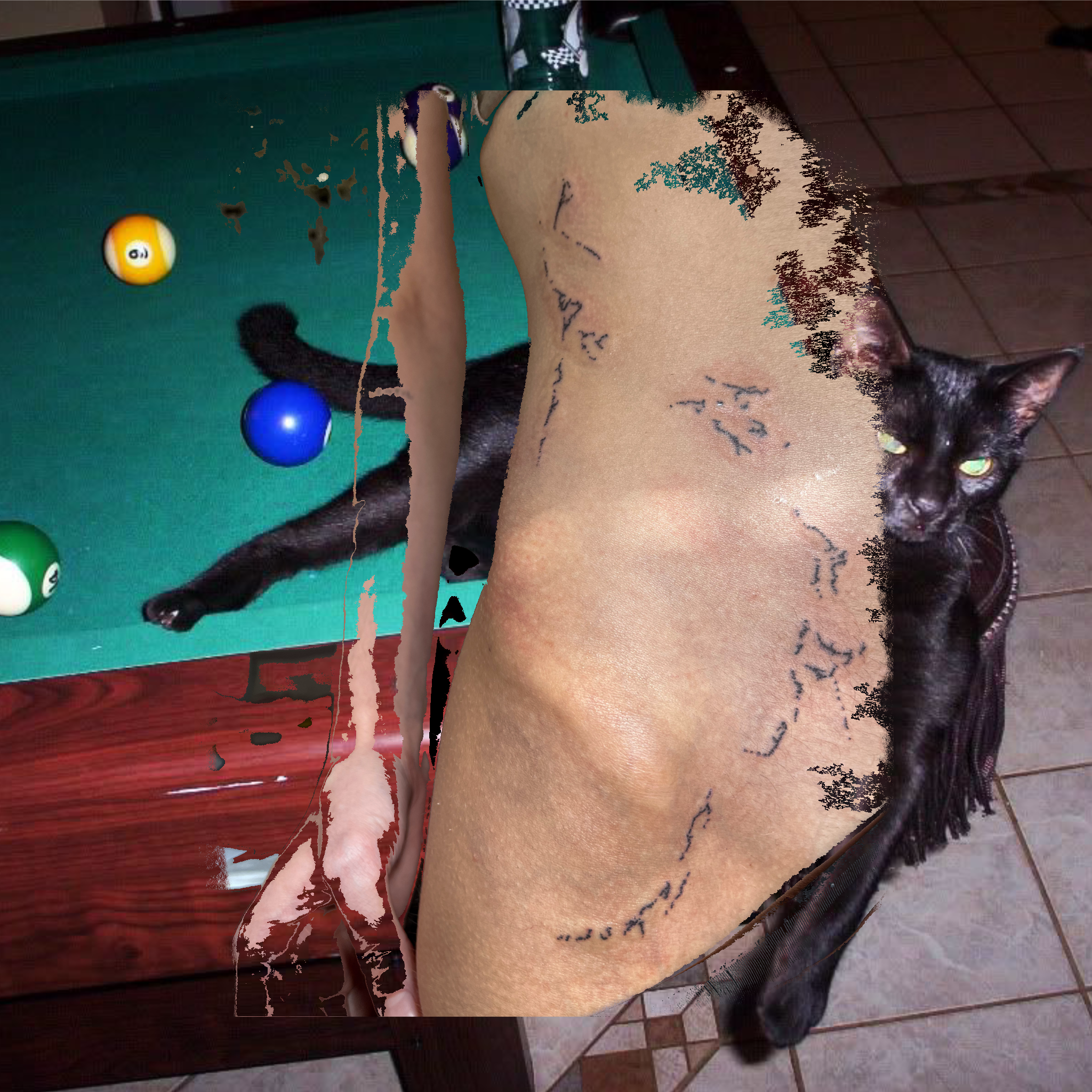 Untitled_Artwork 1(1).png