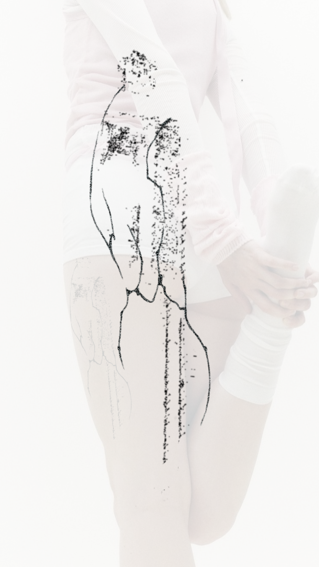 Untitled_Artwork 12.png