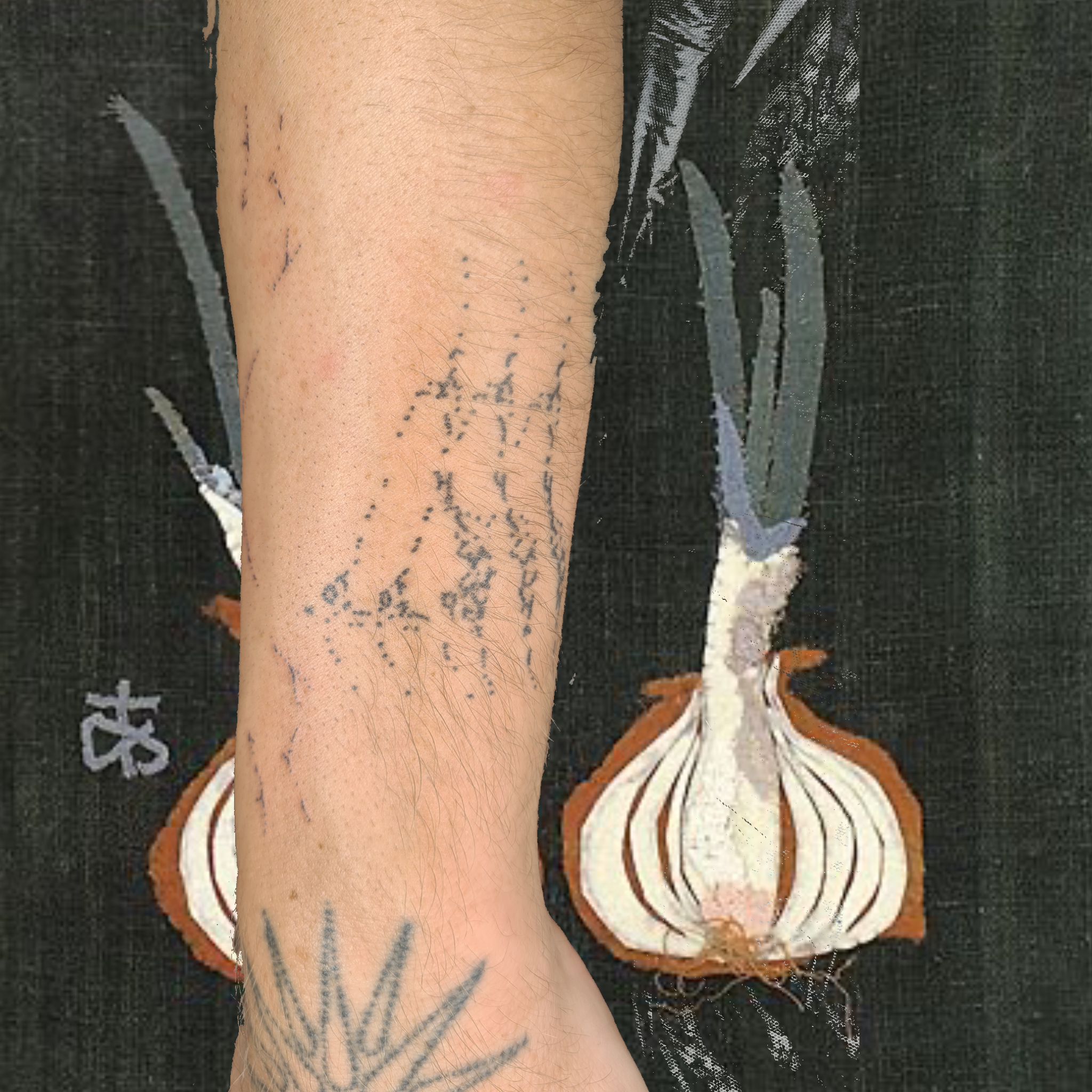 Untitled_Artwork 10(1).png