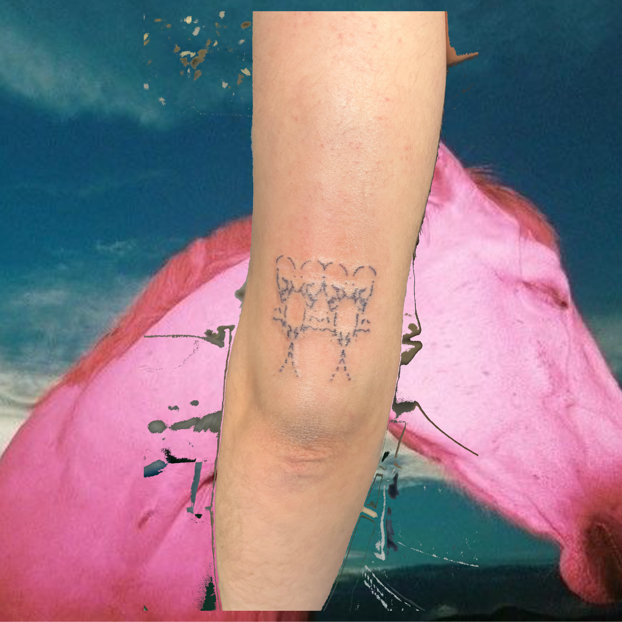 Untitled_Artwork 6(1).png