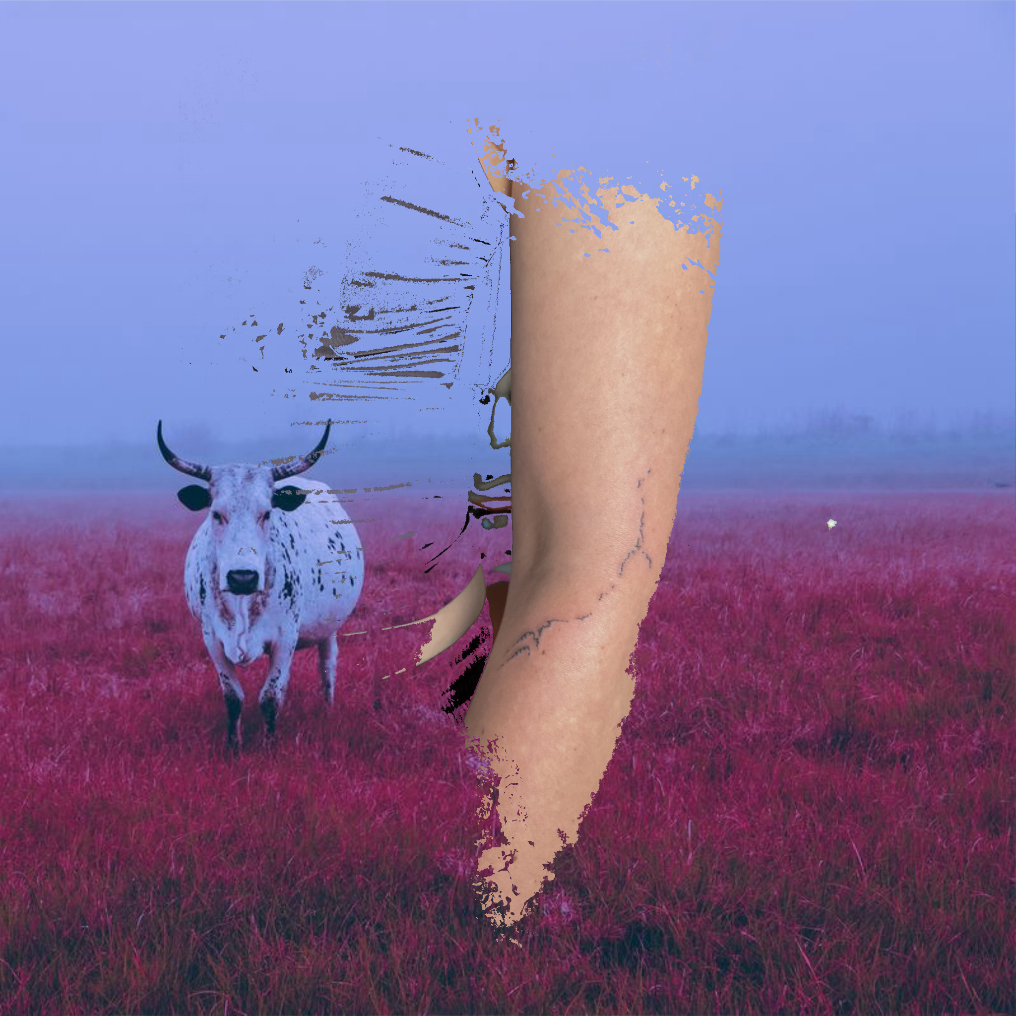 Untitled_Artwork(1).png