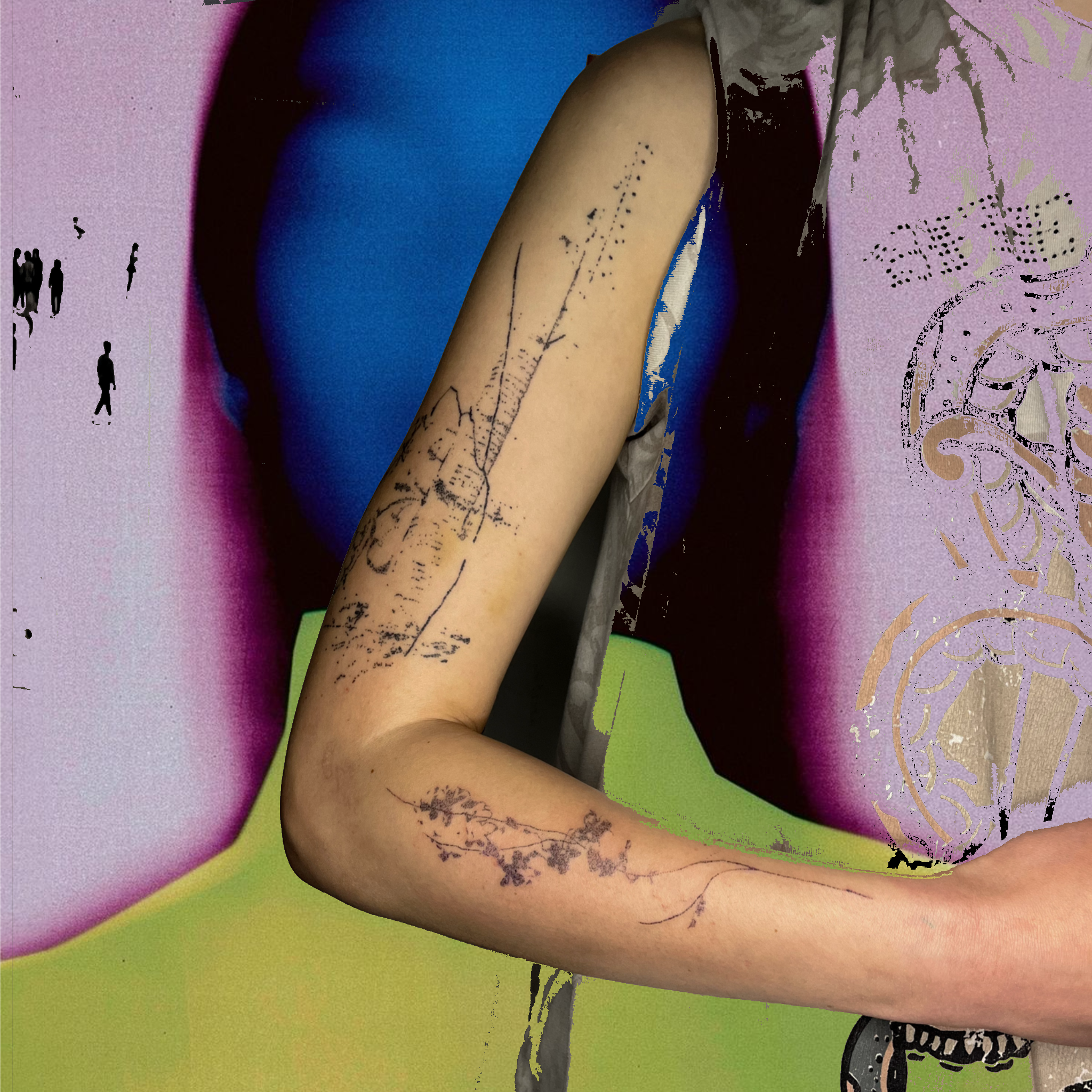IMG_6383.PNG