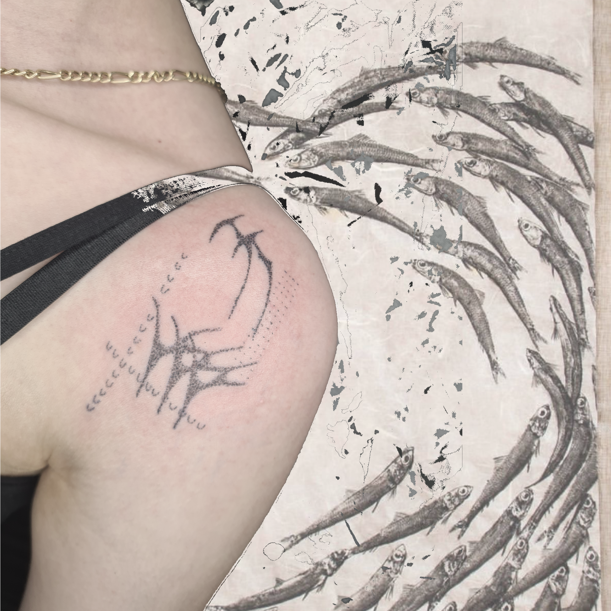 Untitled_Artwork 11(1).png