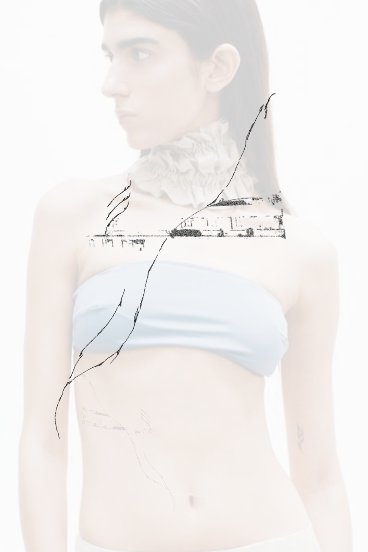 IMG_6563.png