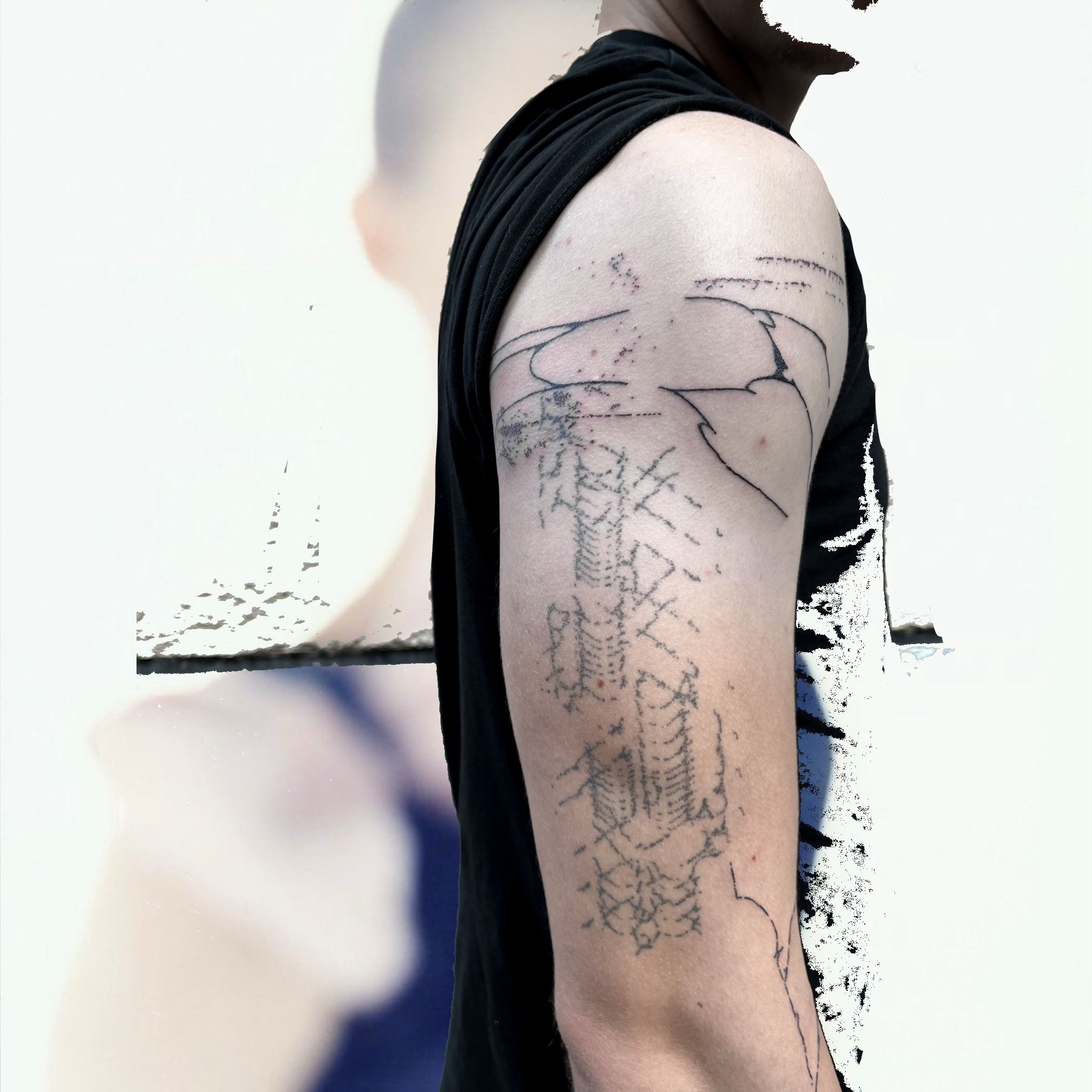 IMG_6835.png