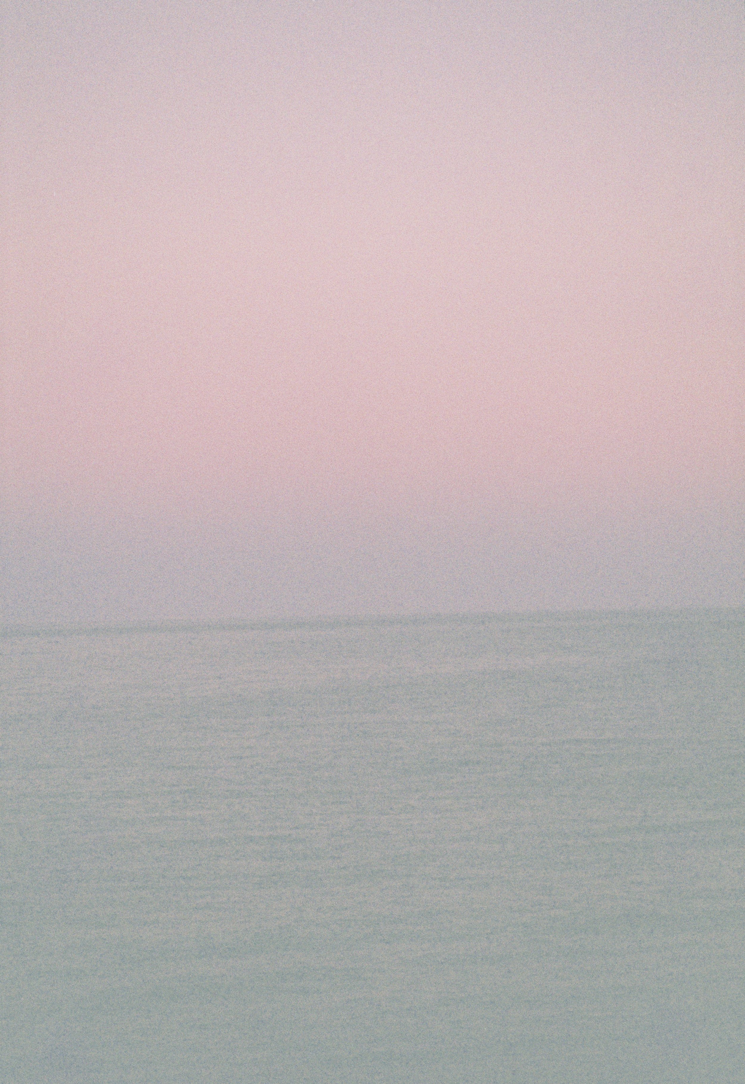 IMG_1135.jpg