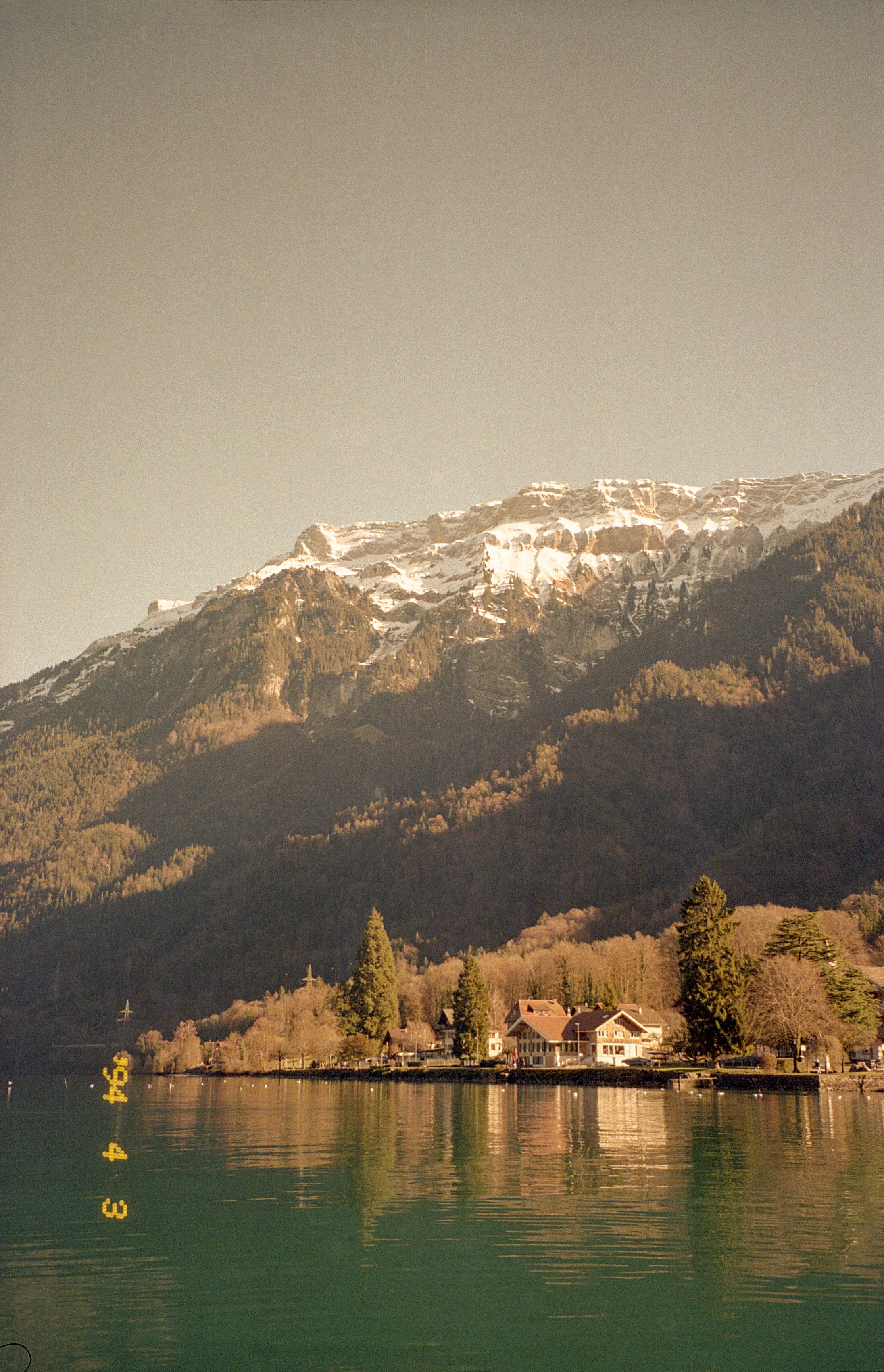 IMG_3889.JPG