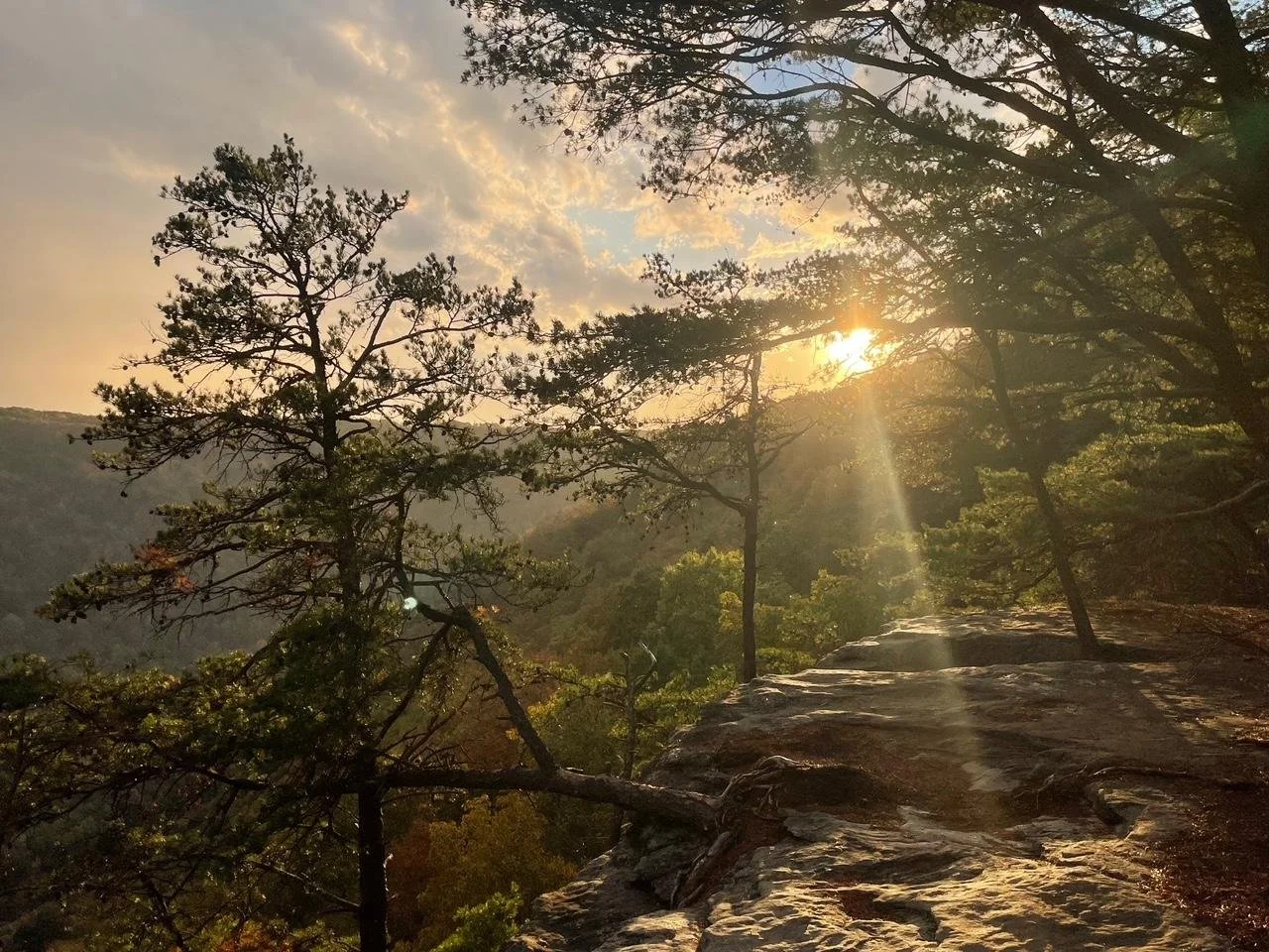 Sunset over a rocky ledge surrounded by trees in a forested area.