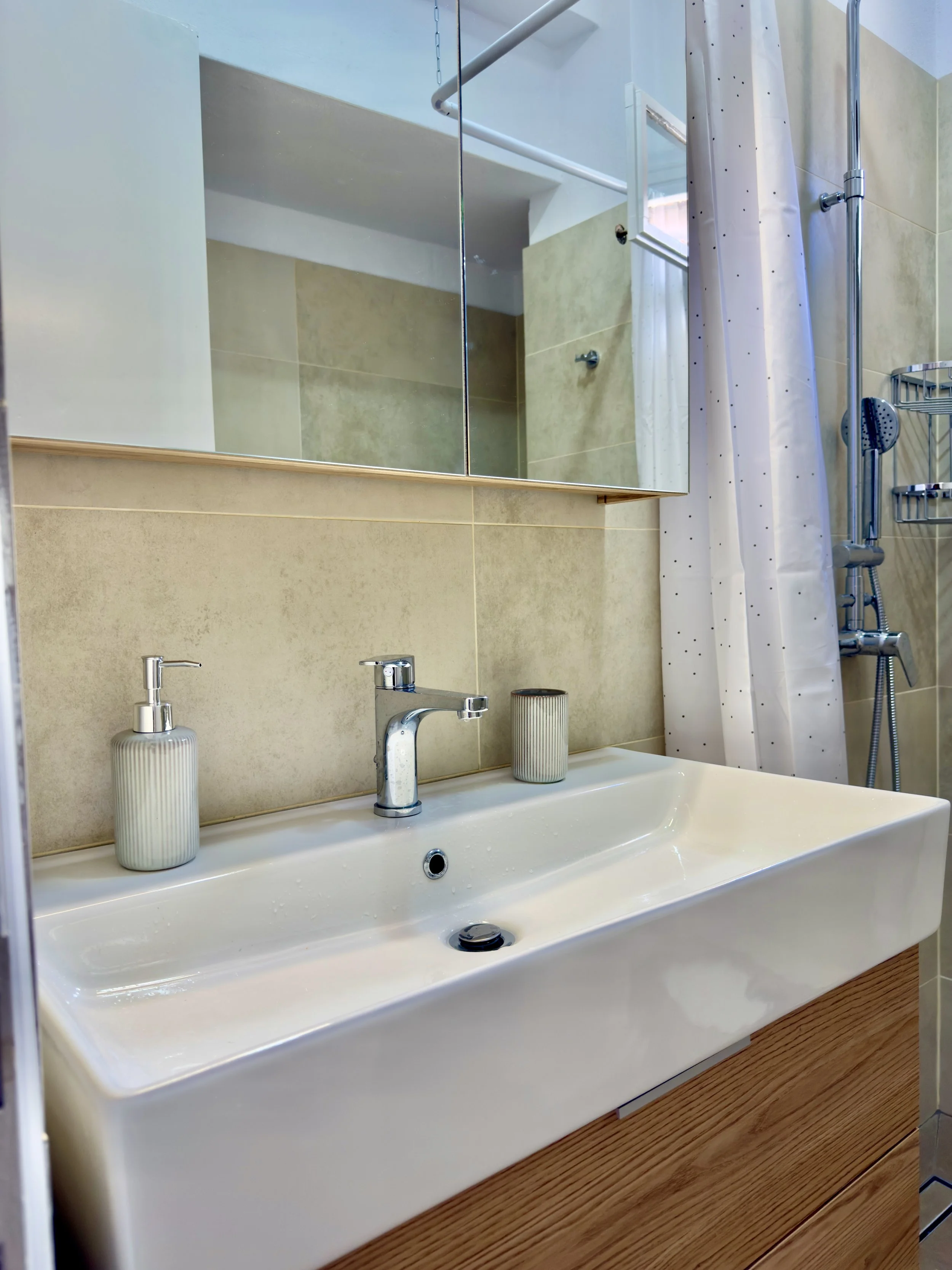Bathroom sink with soap dispenser and toothbrush holder, mirror, shower area with showerhead and shower curtain.