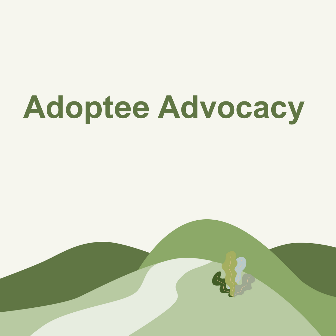 Adoptee Advocacy by Issue