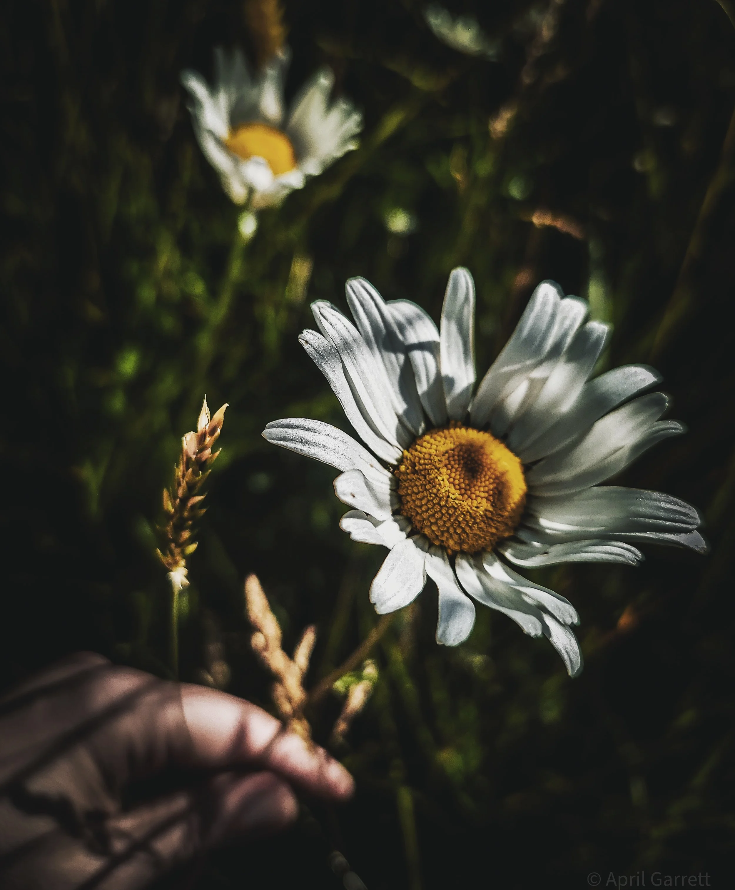 The Autumn Threshold: Ground • Listen • Return