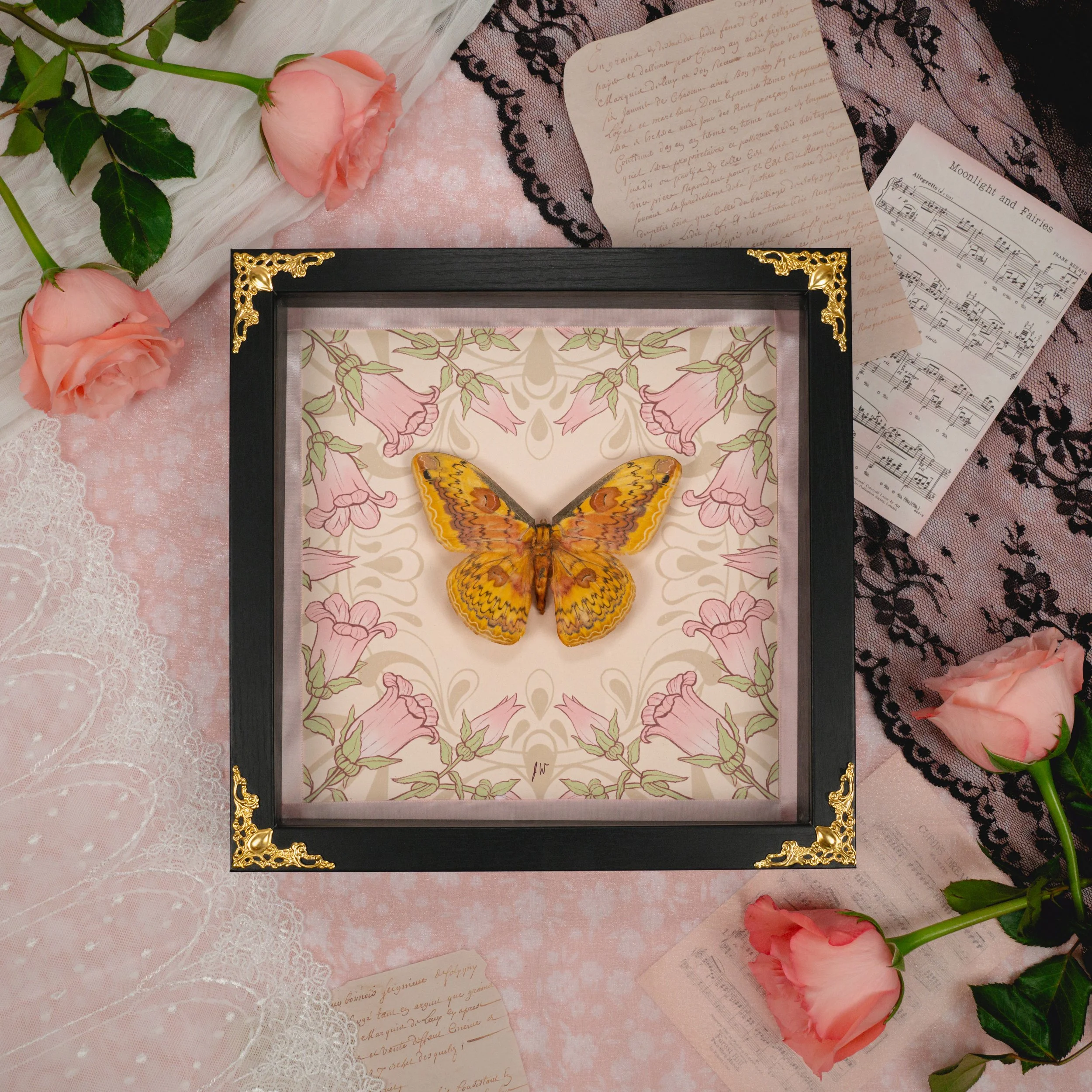 shadowboxes-07.jpg