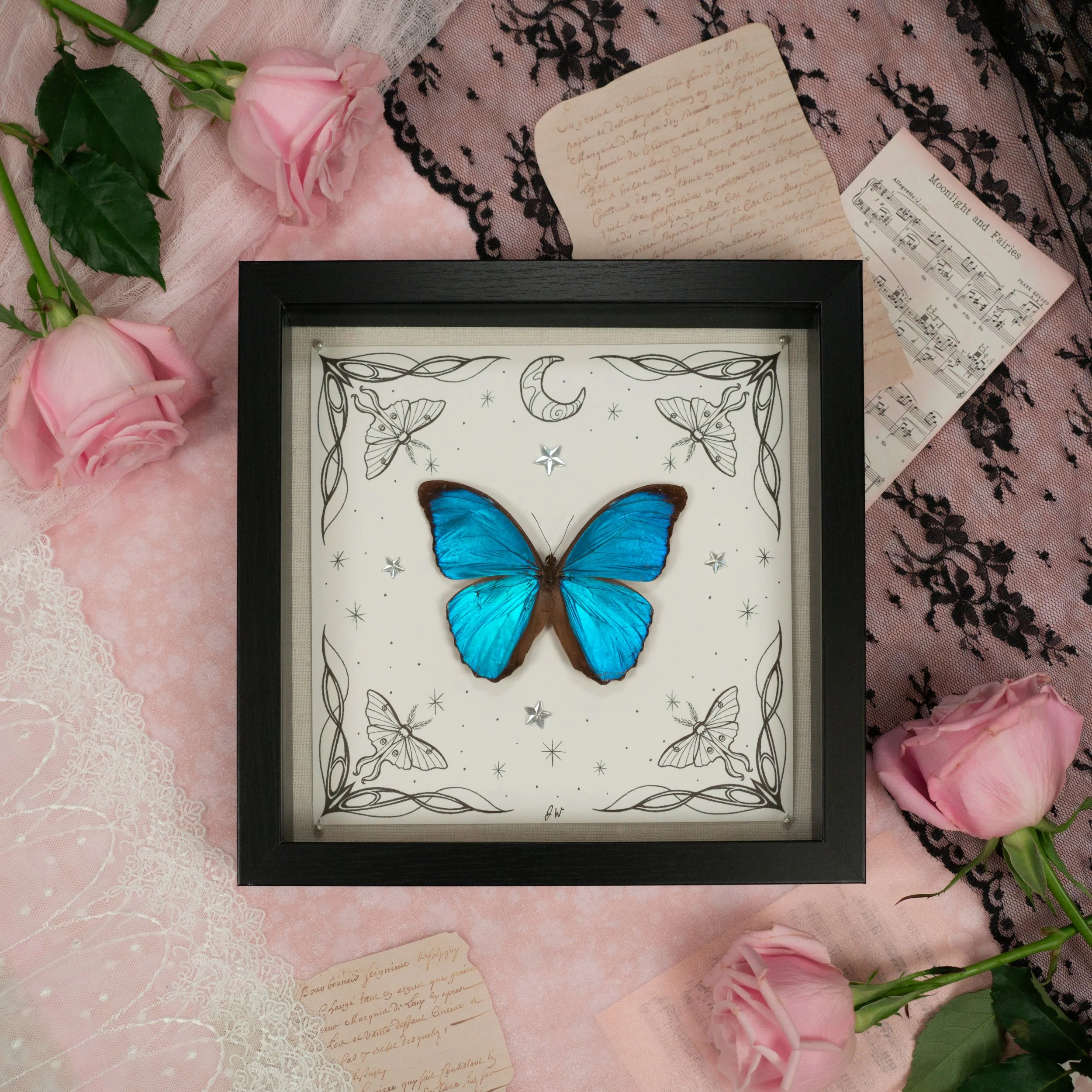 %22Moonlight%22 2:3 Blue Morpho Butterfly.JPG