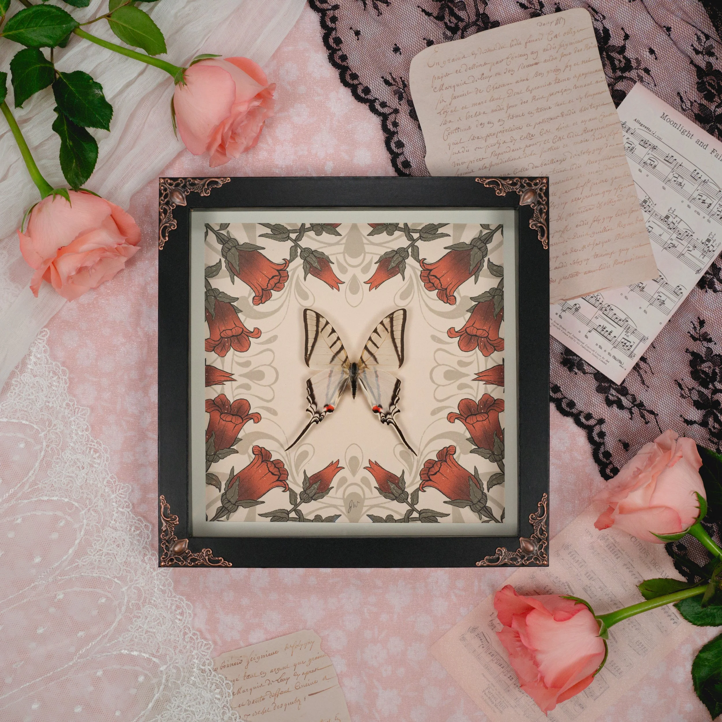 shadowboxes-08.jpg