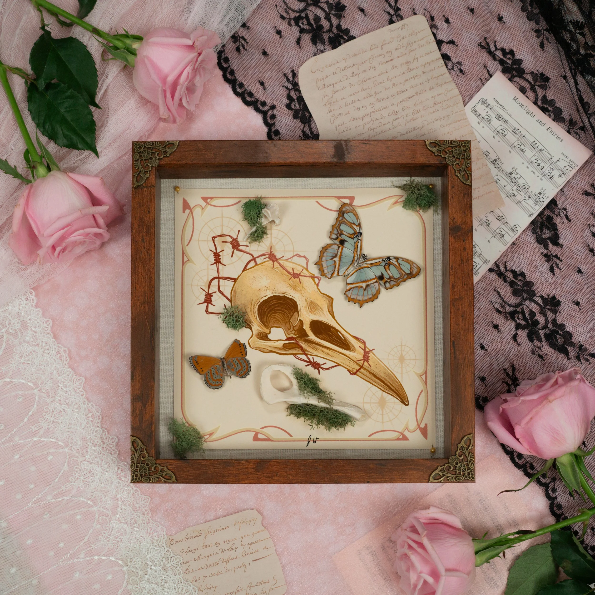 %22Crow%22 2:2 Multiple Specimen Box.JPG