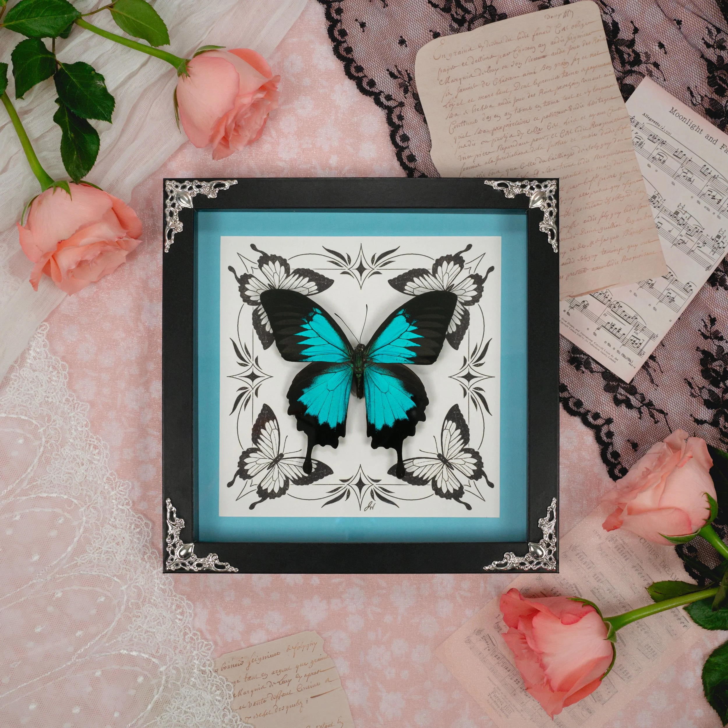 shadowboxes-12.jpg