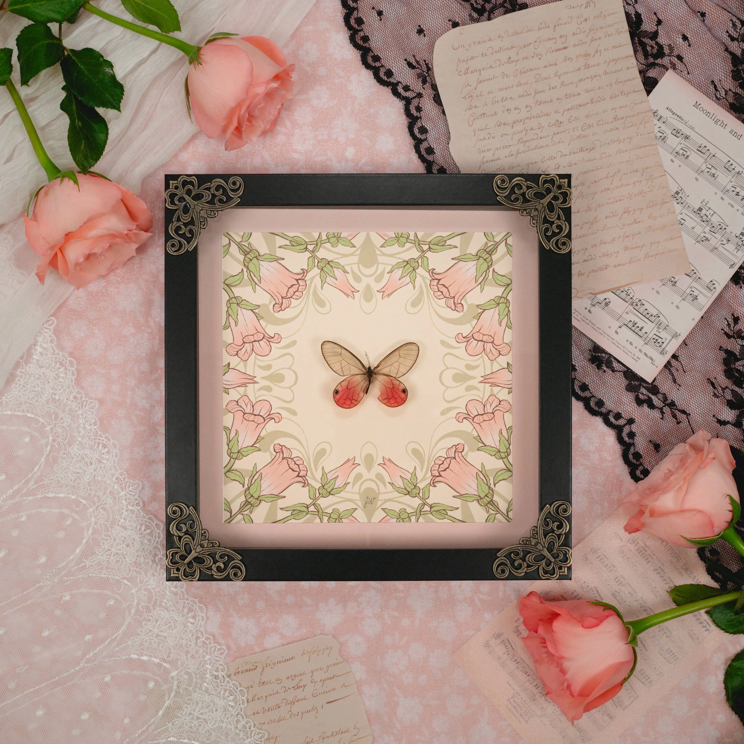 shadowboxes-11.jpg