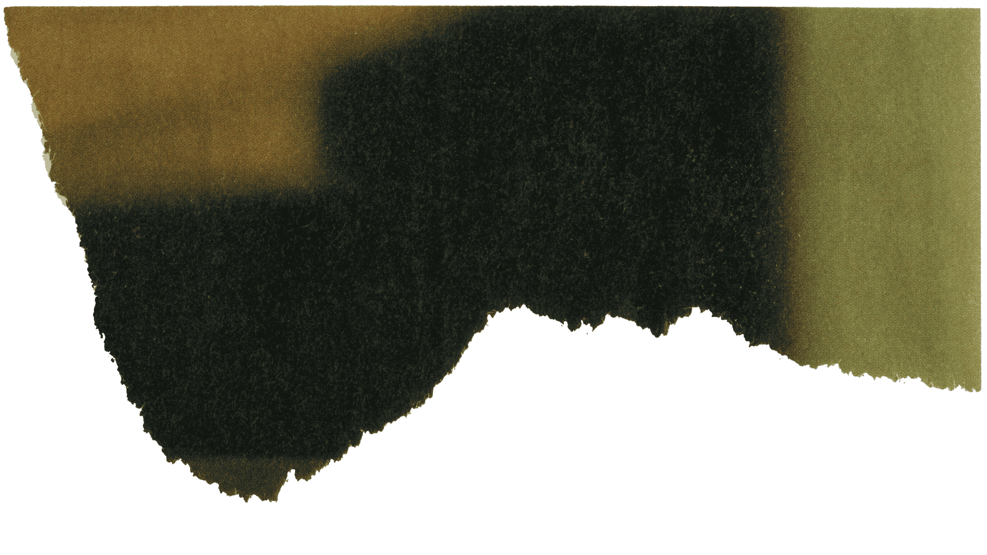 A photograph torn into an abstract, blurry multicolored shape with shades of green, yellow, black, and brown, resembling an irregular silhouette against a transparent background.