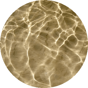 Sunlit water surface with shimmering reflections creating a pattern of light and shadow.
