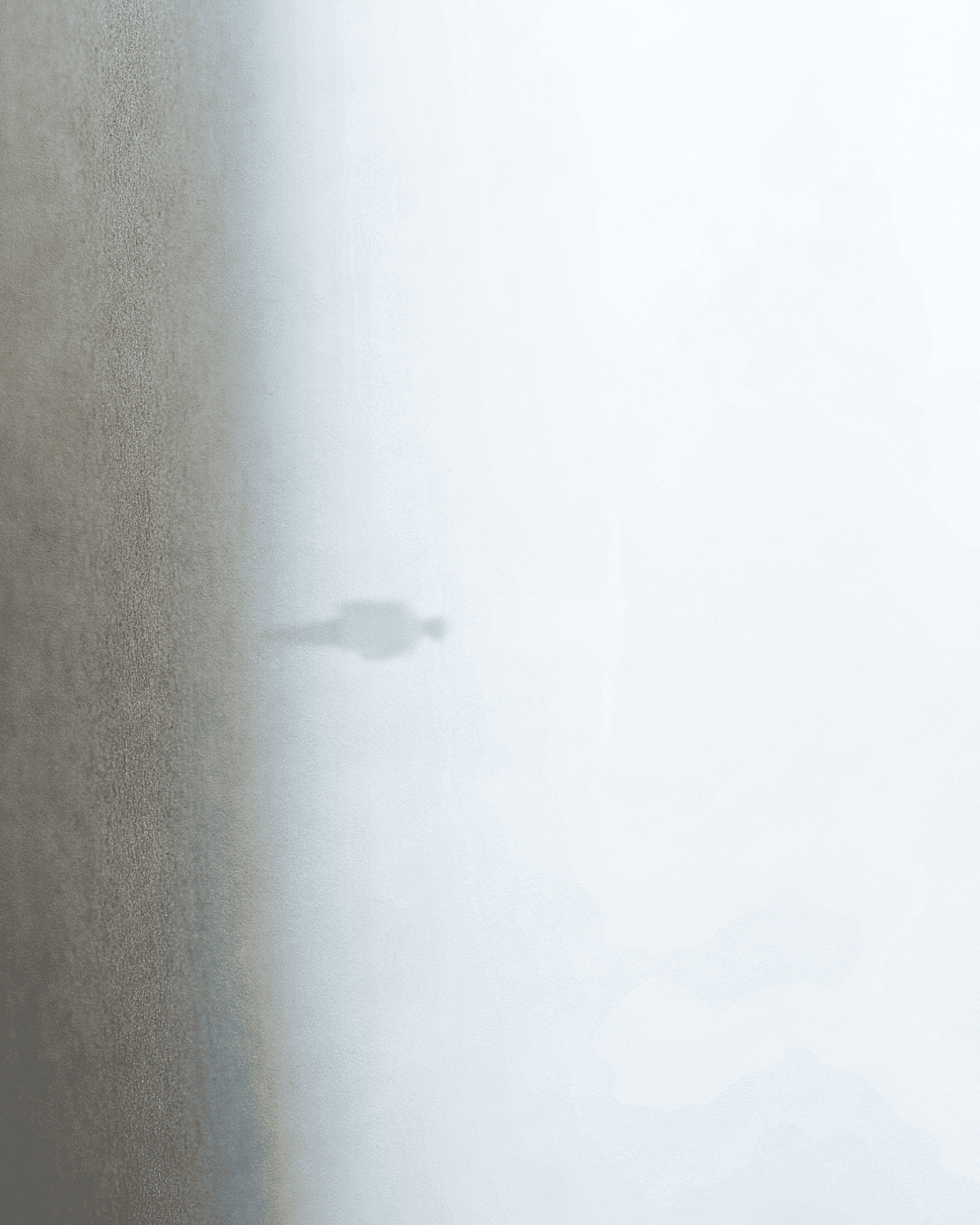 A person barely visible in a foggy field.