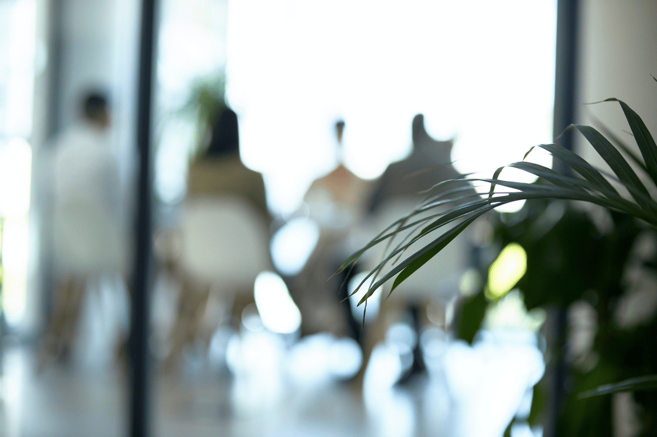 Blurred study or meeting room with people and a window in the background, with a focus on a green plant in the foreground.
