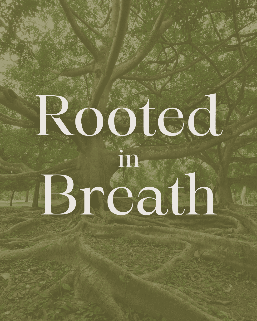 A large tree with sprawling roots and dense green leaves, overlaid with the words 'Rooted in Breath' in large white text.