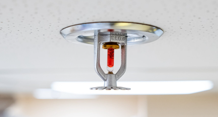 A fire sprinkler head with a red glass bulb on a white ceiling.
