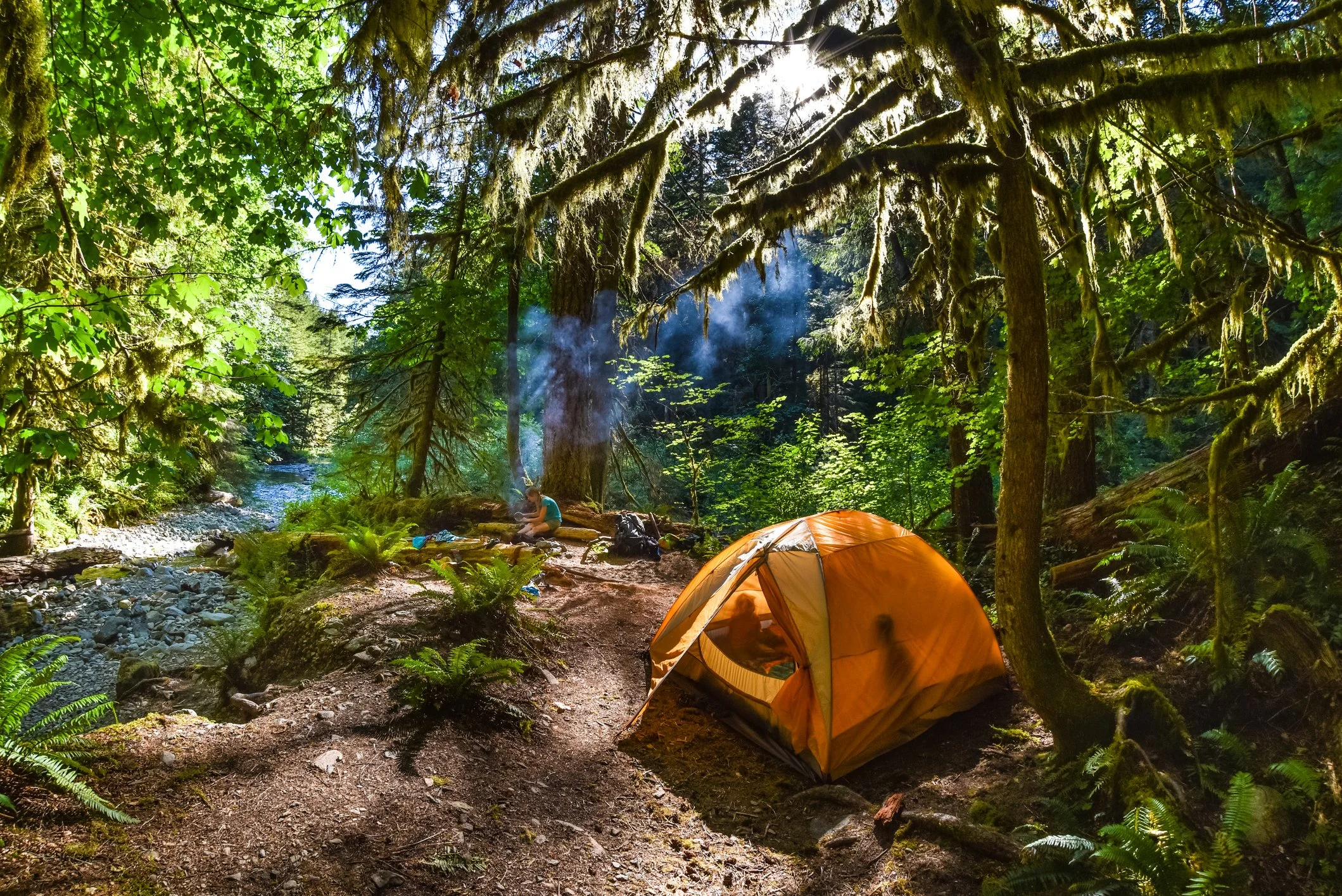 A creekside campsite in a lush green forest with a yellow tent on a dirt path, large trees, and sunlight streaming through the foliage.