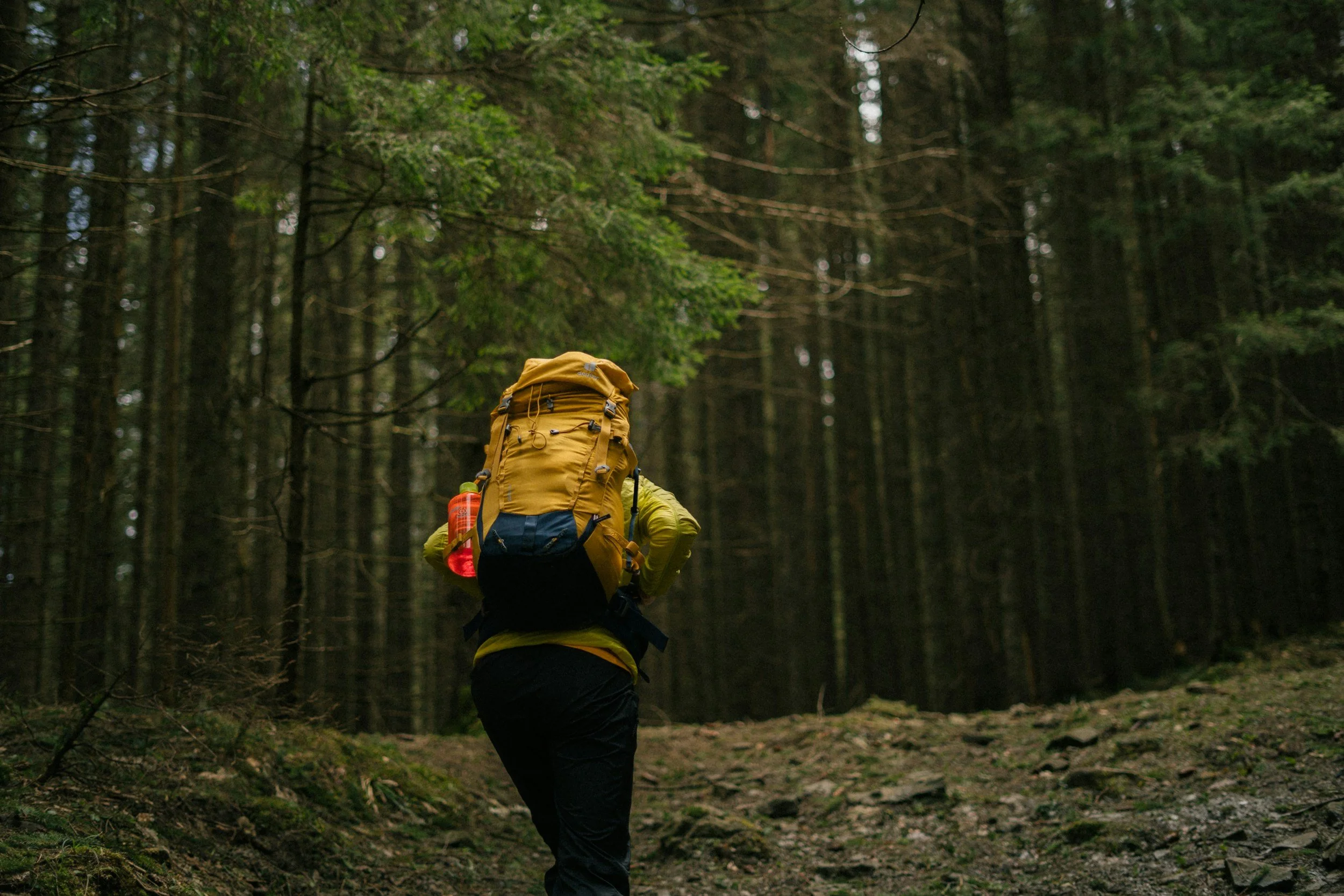 Appalachian Trail hiker on the way to camp near Hiawassee, Georgia