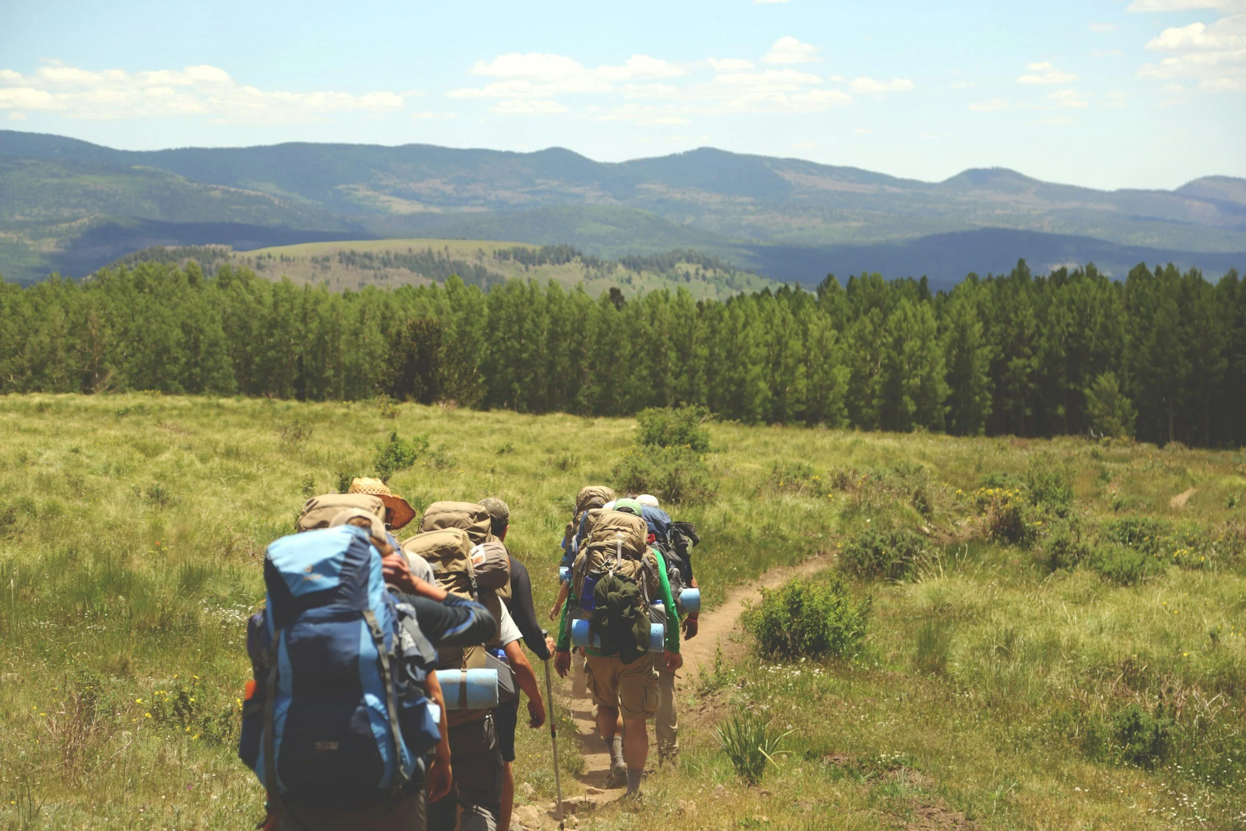 A group of hikers walking along a dirt trail through a grassy field with green trees, mountains, and a blue sky with scattered clouds in the background.