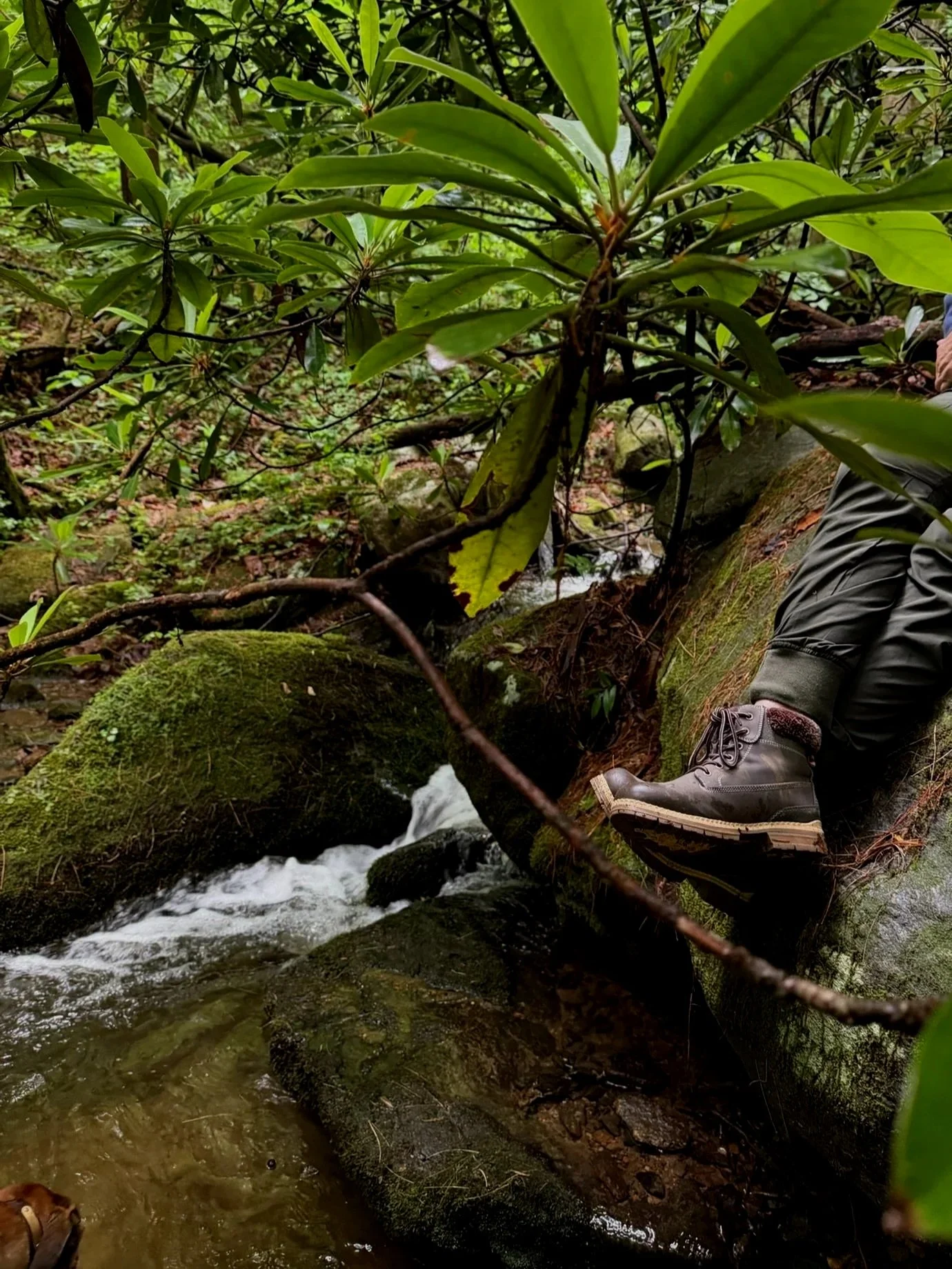 A person wearing hiking boots sitting on a moss-covered rock by a small creek in a dense forest.