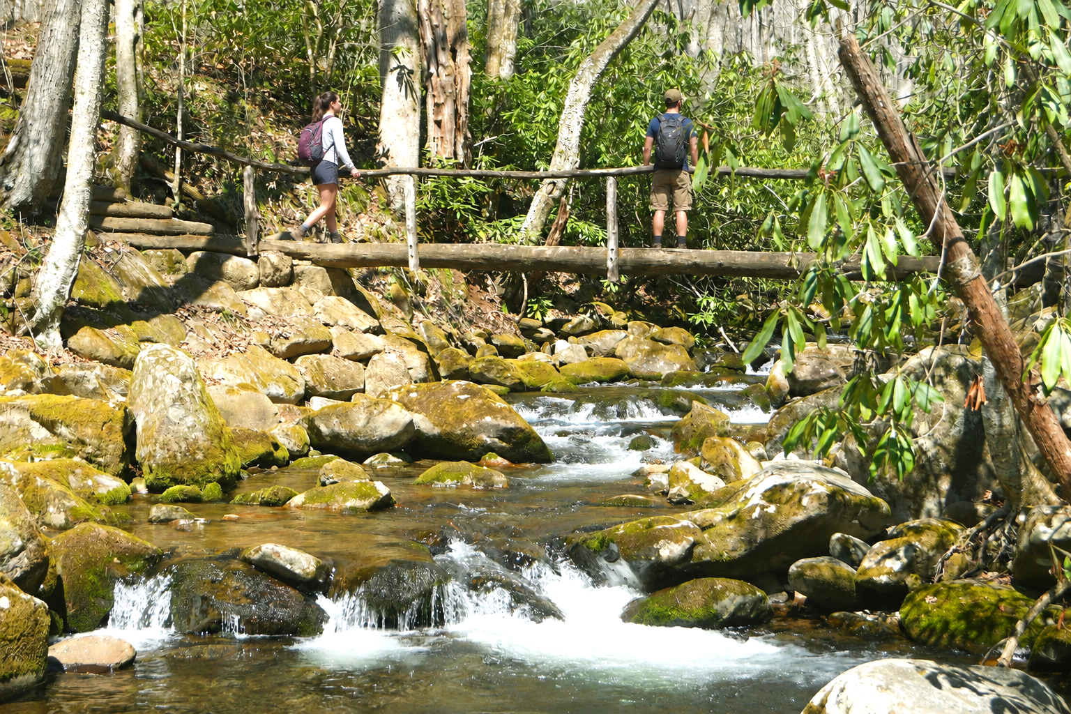 Two hikers walking on a wooden bridge over a rocky stream in a forested area with lush green foliage.