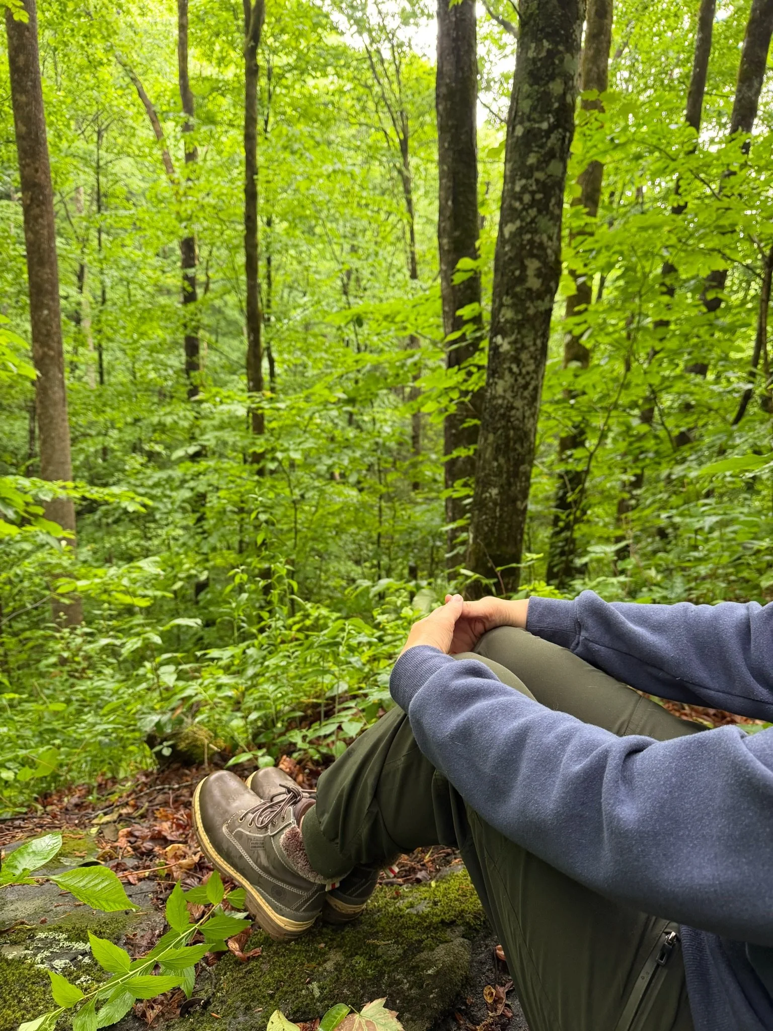 Person sitting on the ground in a forest, wearing hiking boots, dark pants, and a blue jacket, with lush green leaves and trees surrounding them.