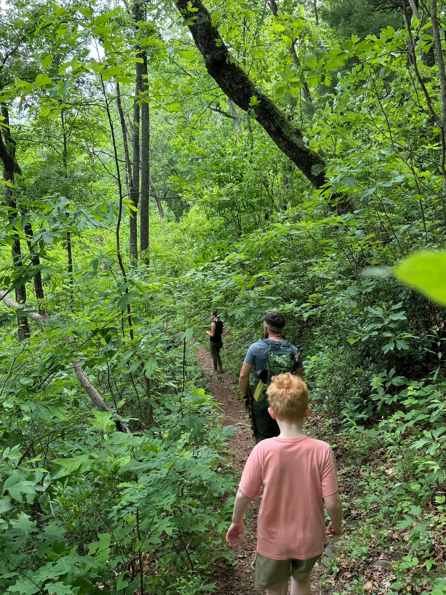 Family hiking into a creekside campsite near Hiawassee, Georgia
