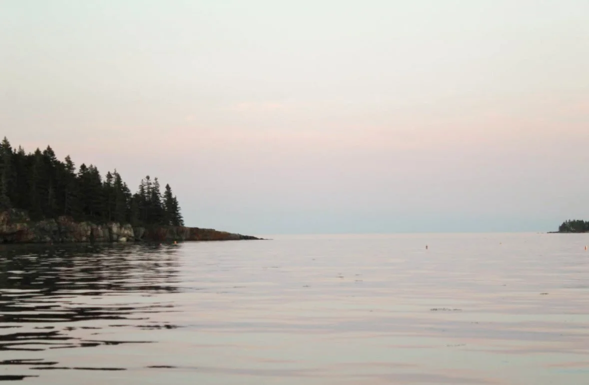 Calm body of water near a coastline with trees, under a pale sky at sunset or sunrise.