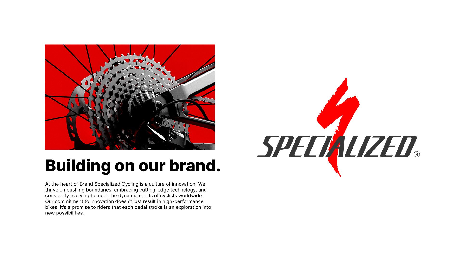 Specialized 1.jpg