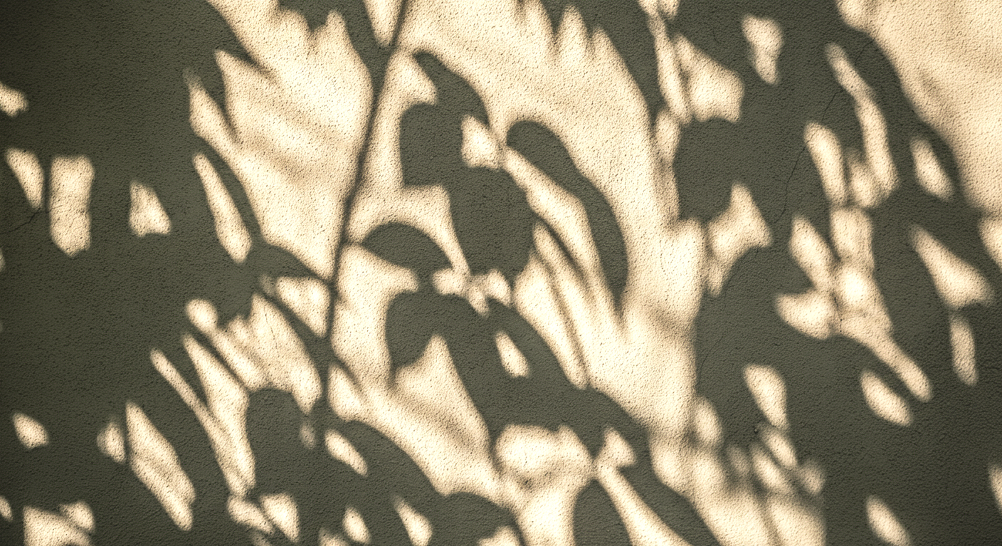 Leaf-Shadows-1-imgg-gi3-f8n268yn.png